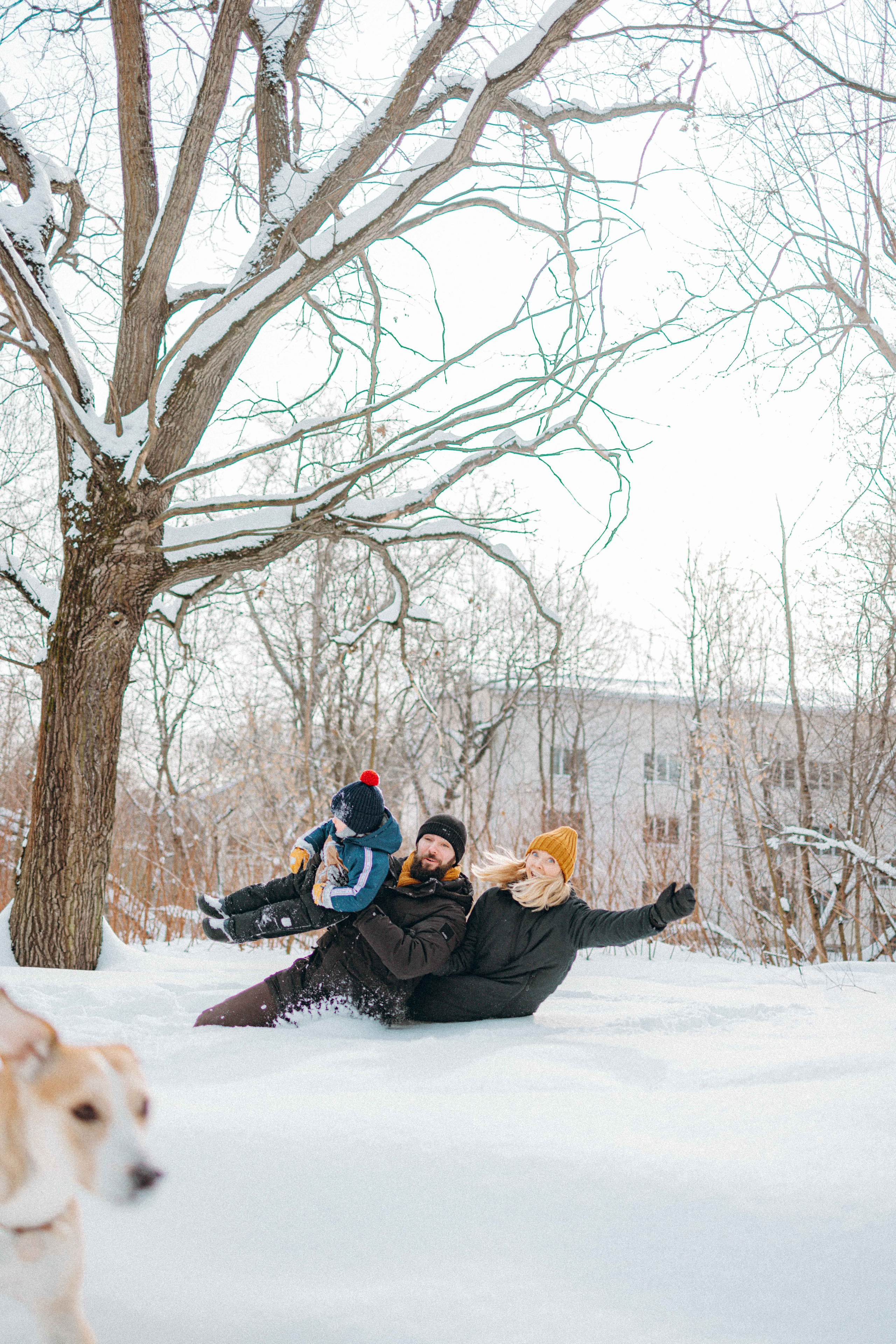 Свобода и ее семья. Фотограф-анималист в Москве Лера Черноног