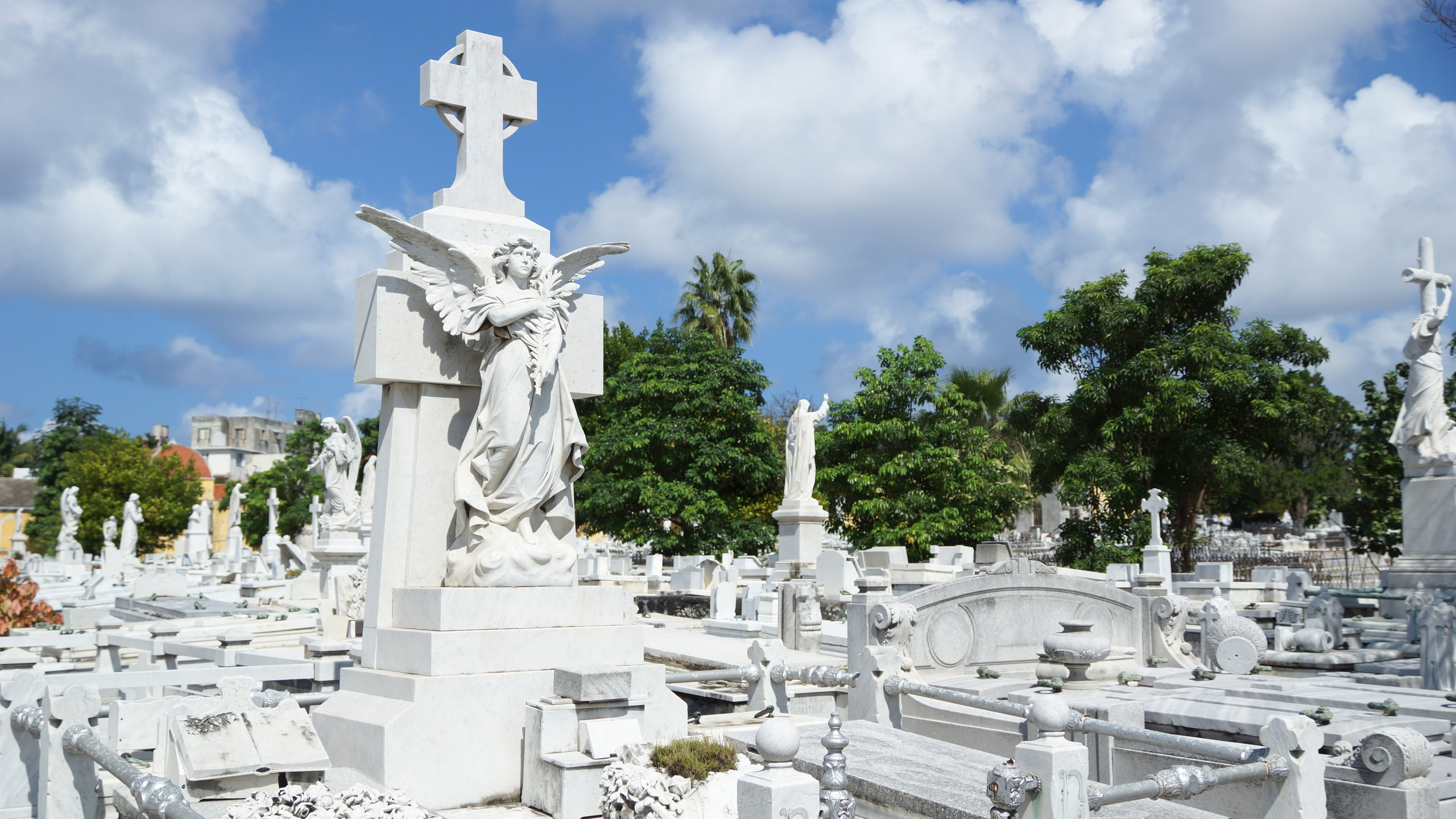 Куба. Фотограф-путешественник Самойлов Максим «Sly Fox»