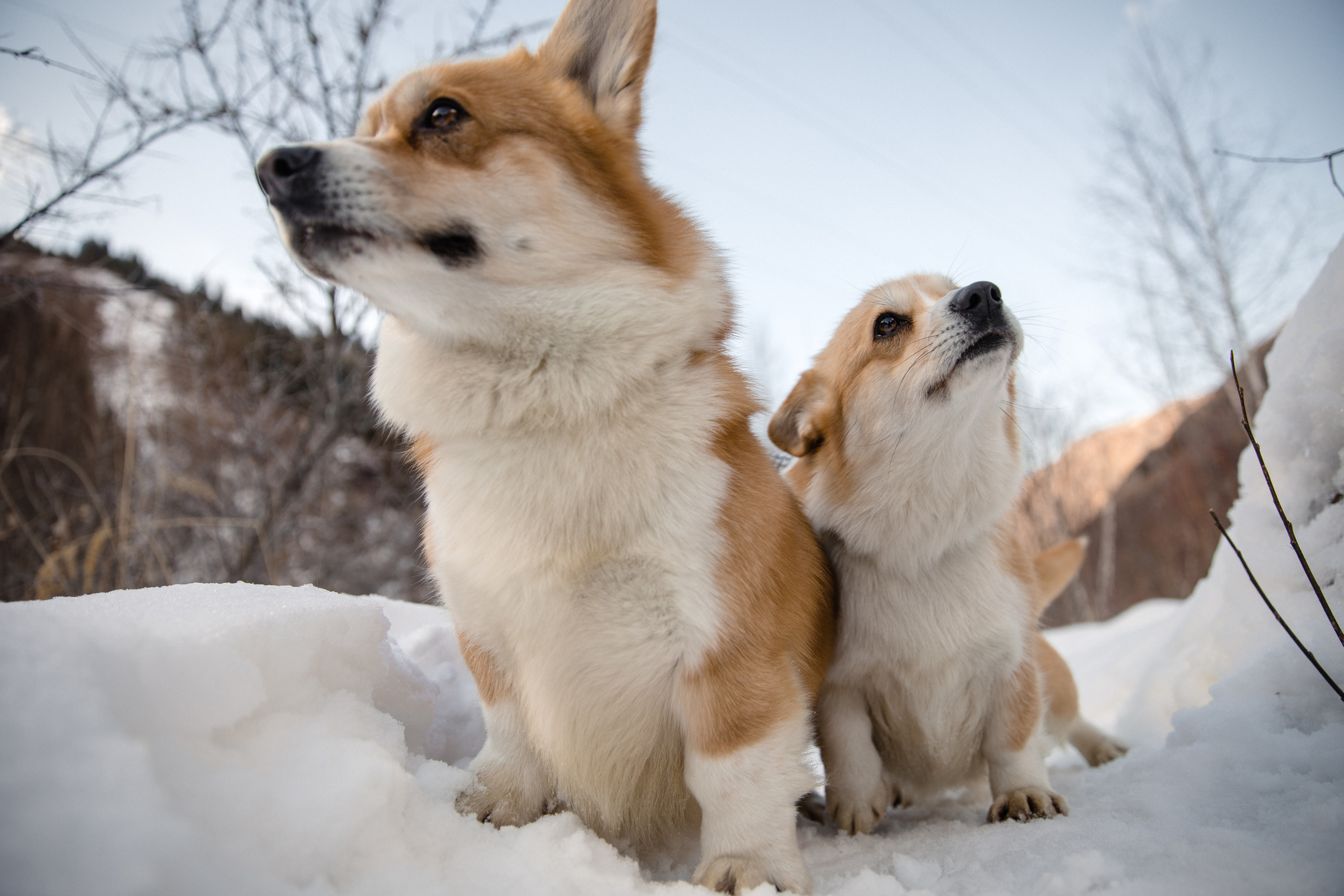Свадьба Арман и Александра. Свадебный фотограф в Алматы Николай Киреев