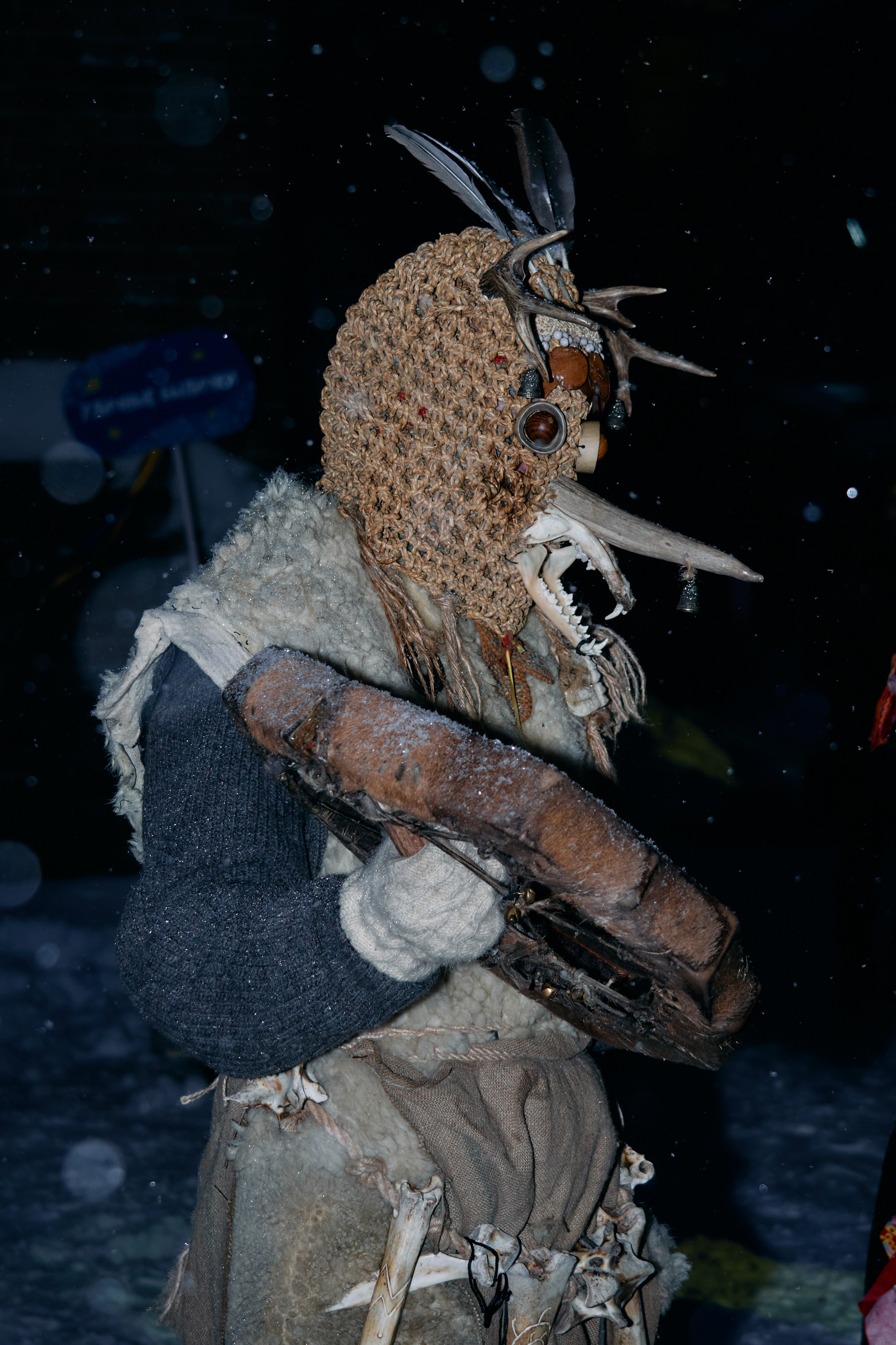 С медведем по соседям. Фотограф