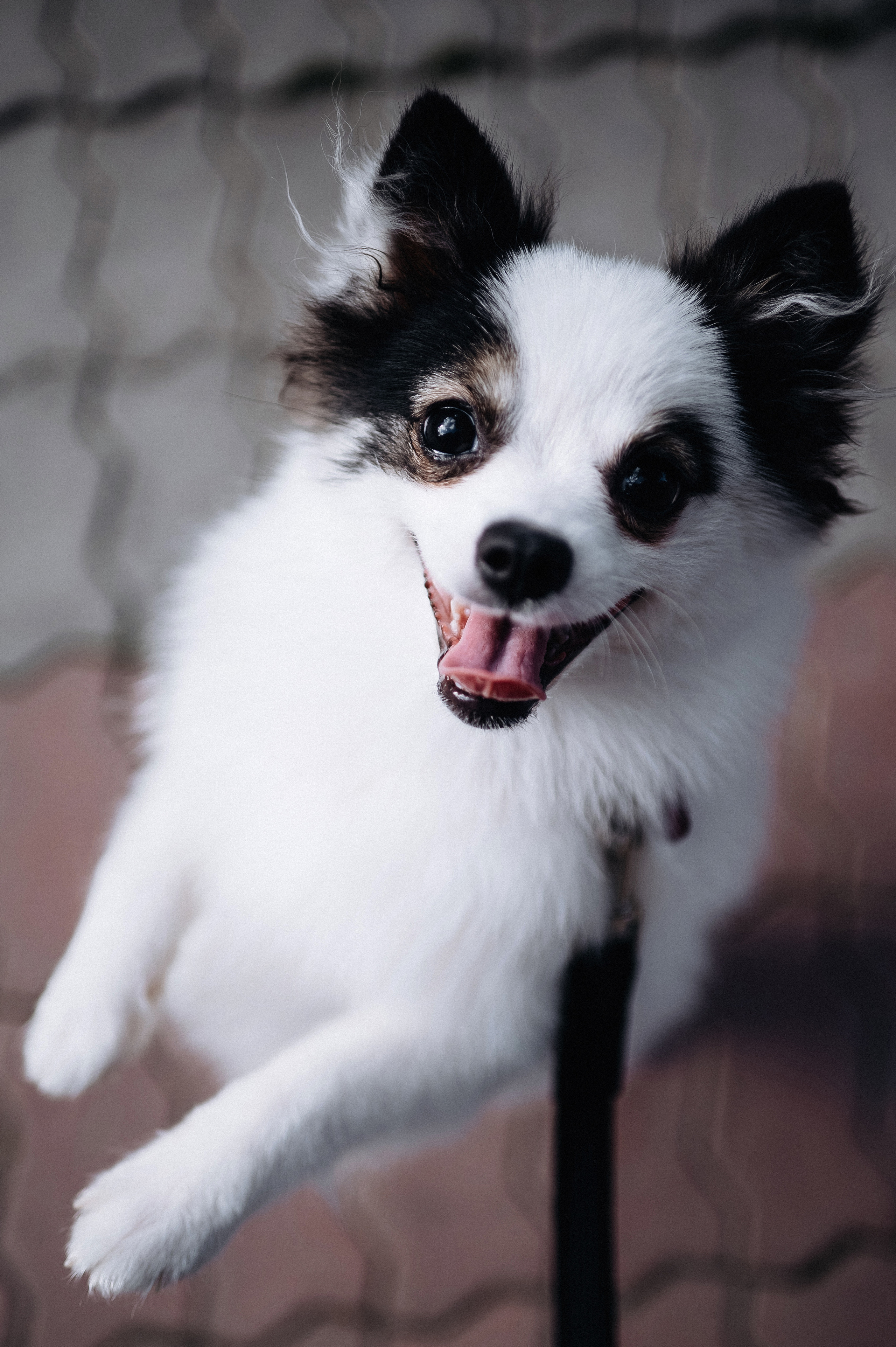 Алина и Илья. Главная