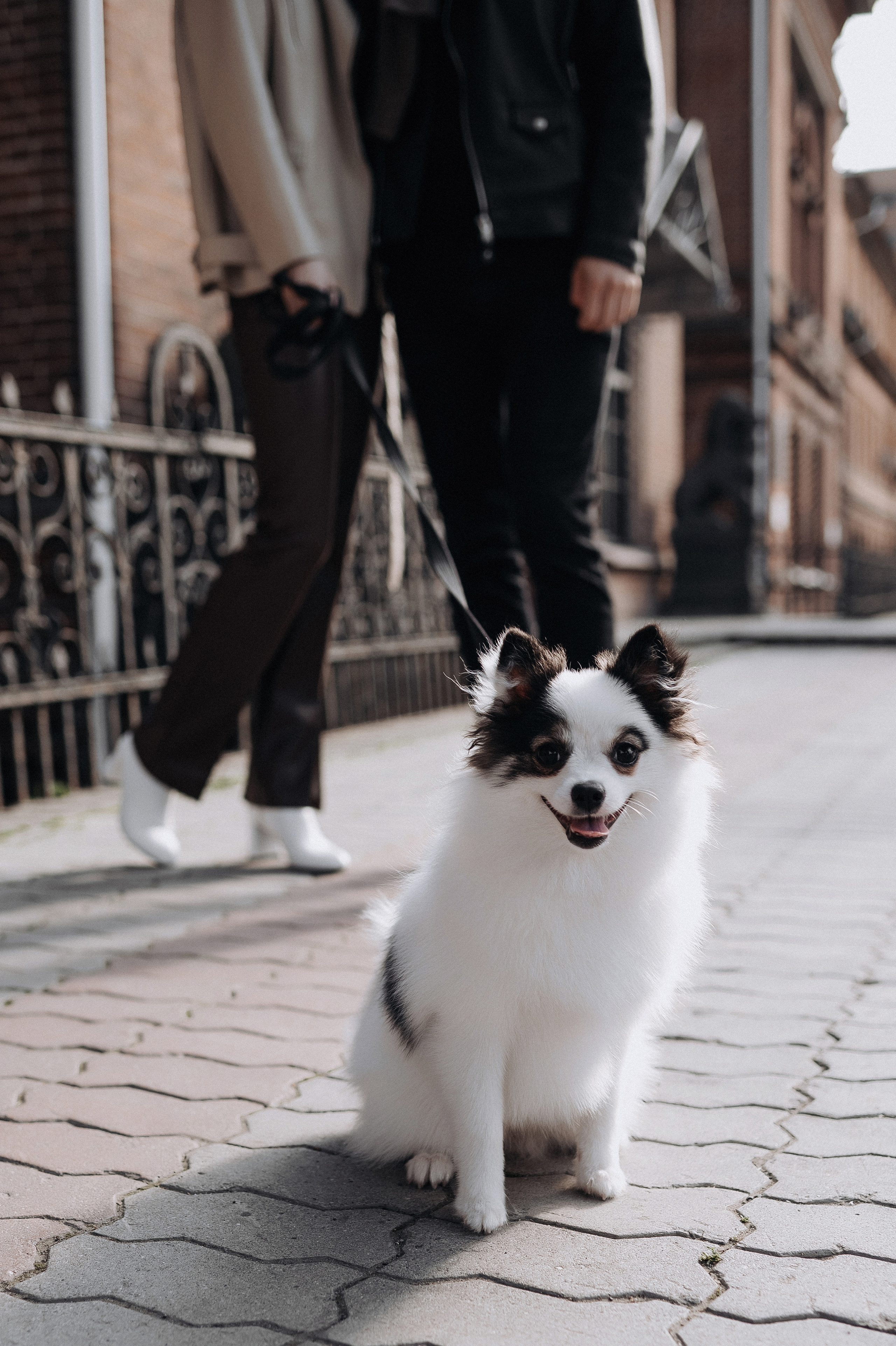 Алина и Илья. Главная