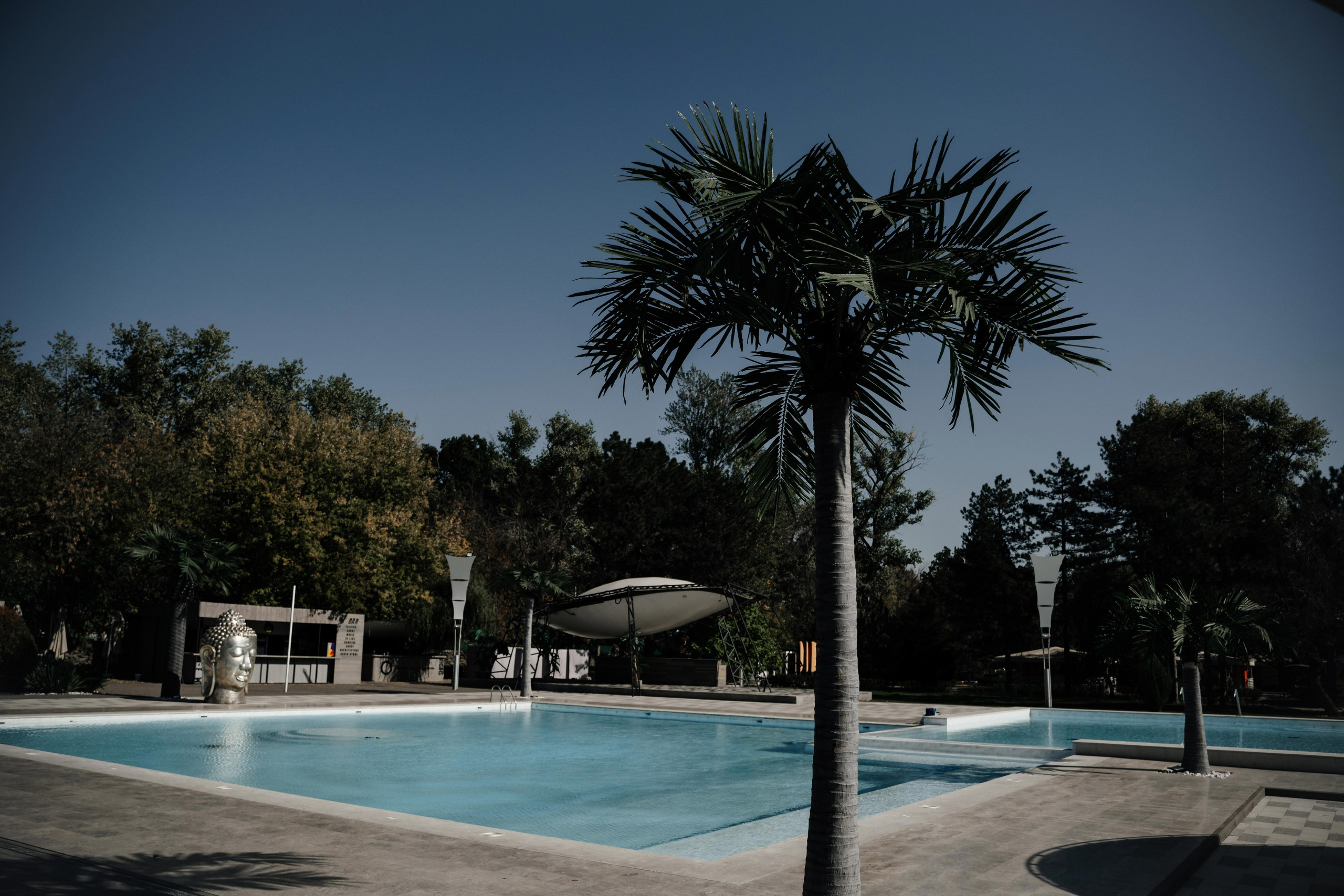 Антон + Валерия. Свадебный фотограф Владимир Рябков