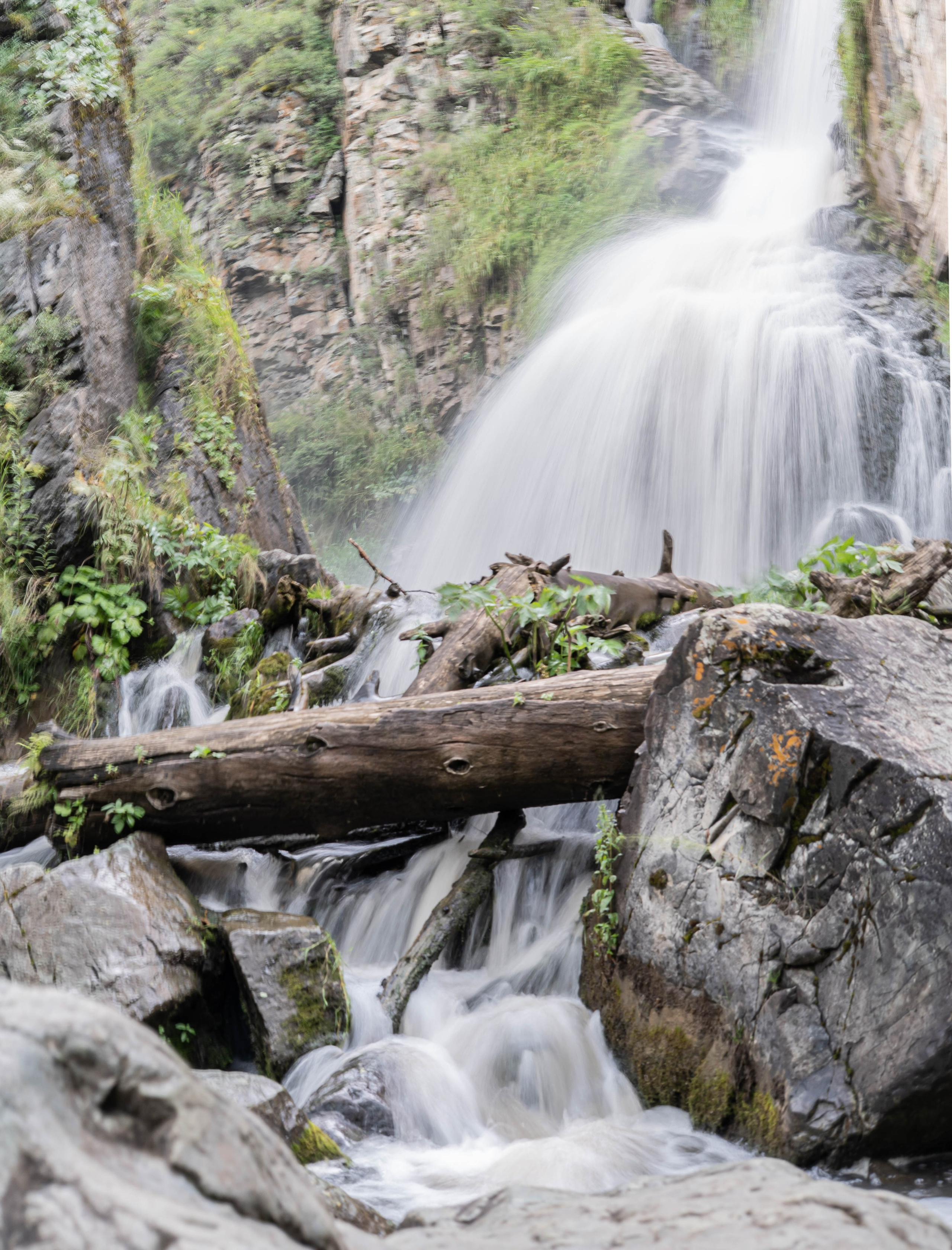 Фотосессия на природе Новосибирск Краснообск