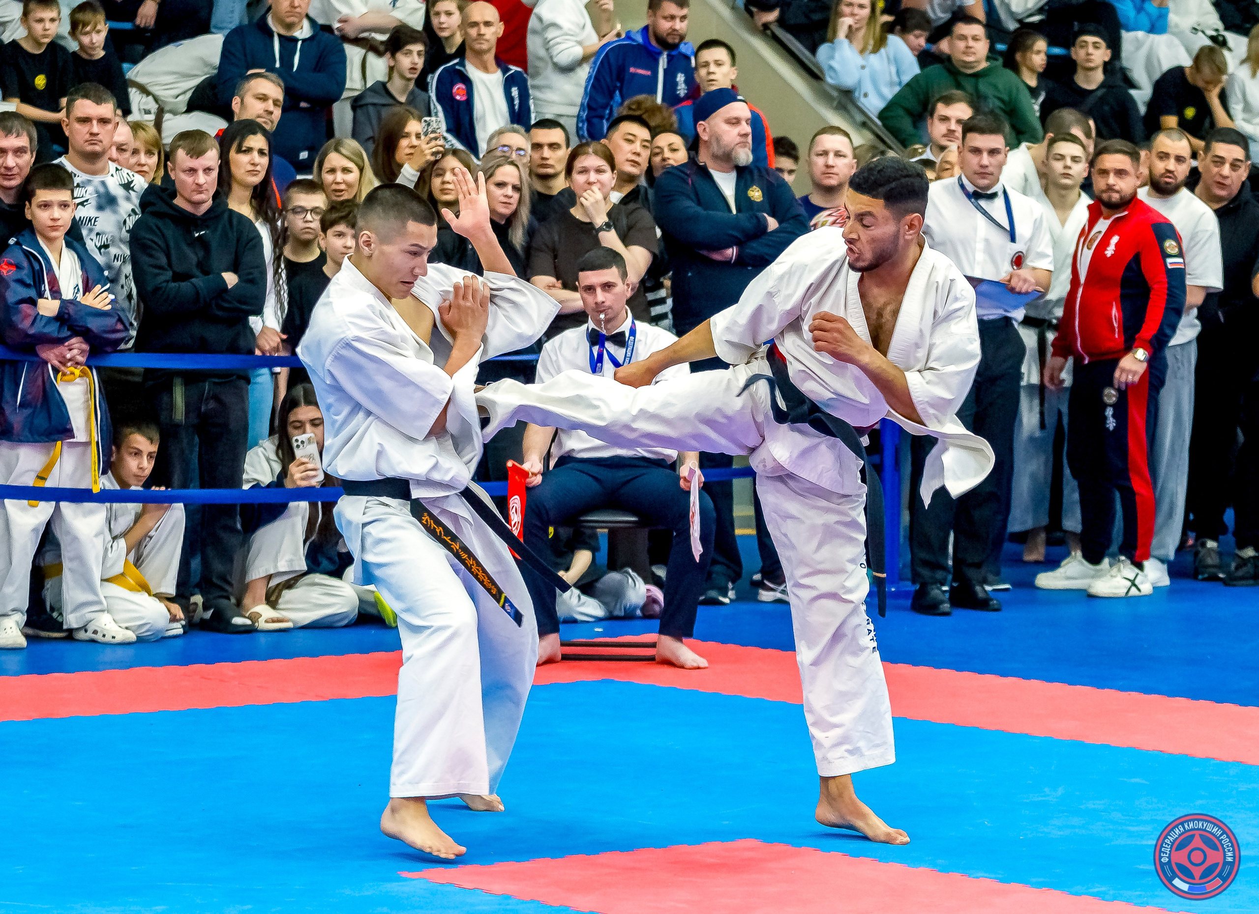 Международный турнир по киокушин «Открытый кубок Seiken». Репортажная съемка в Москве и области. Анималистика