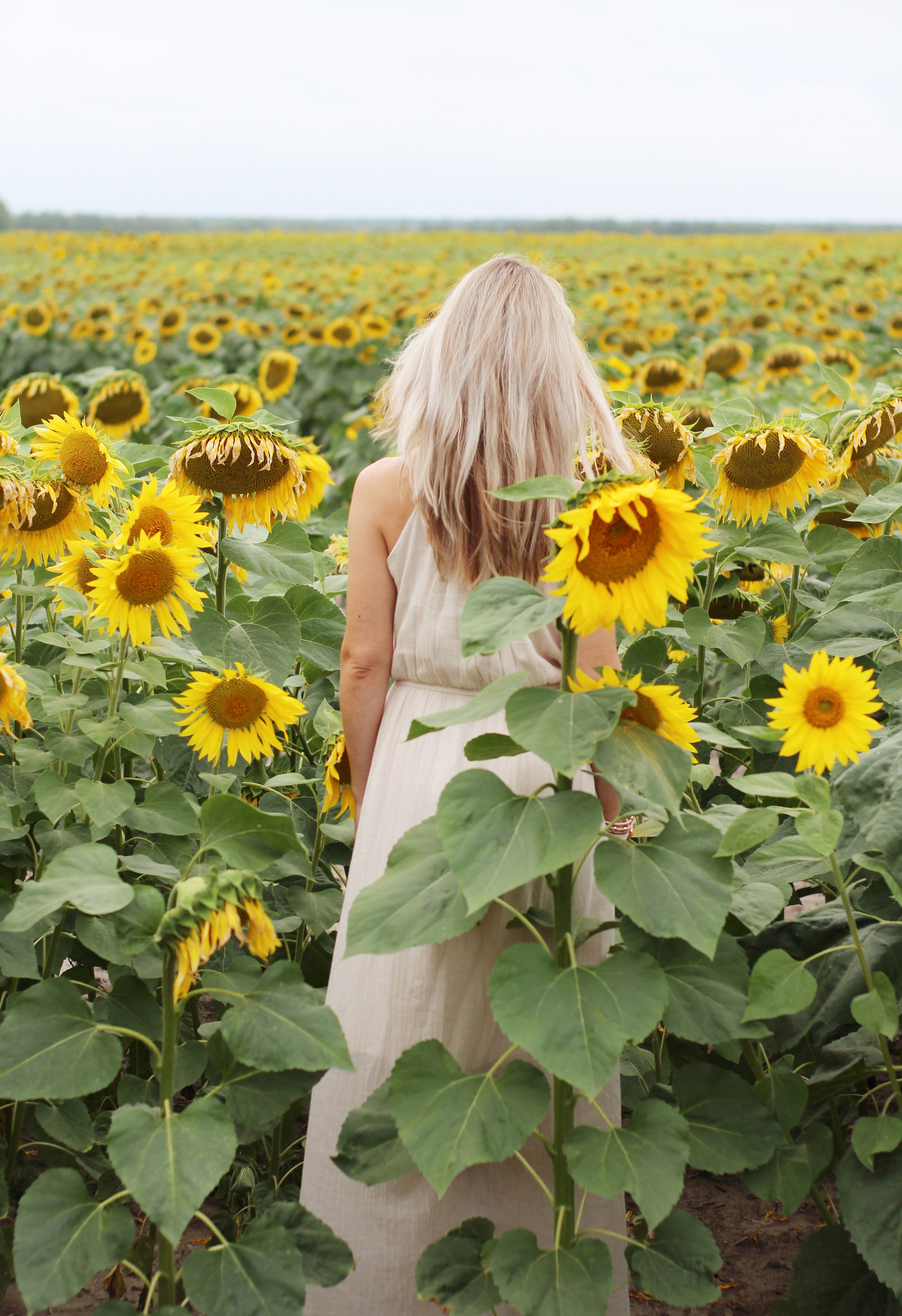 Пазлы. Фотохудожник Татьяна Бойцова