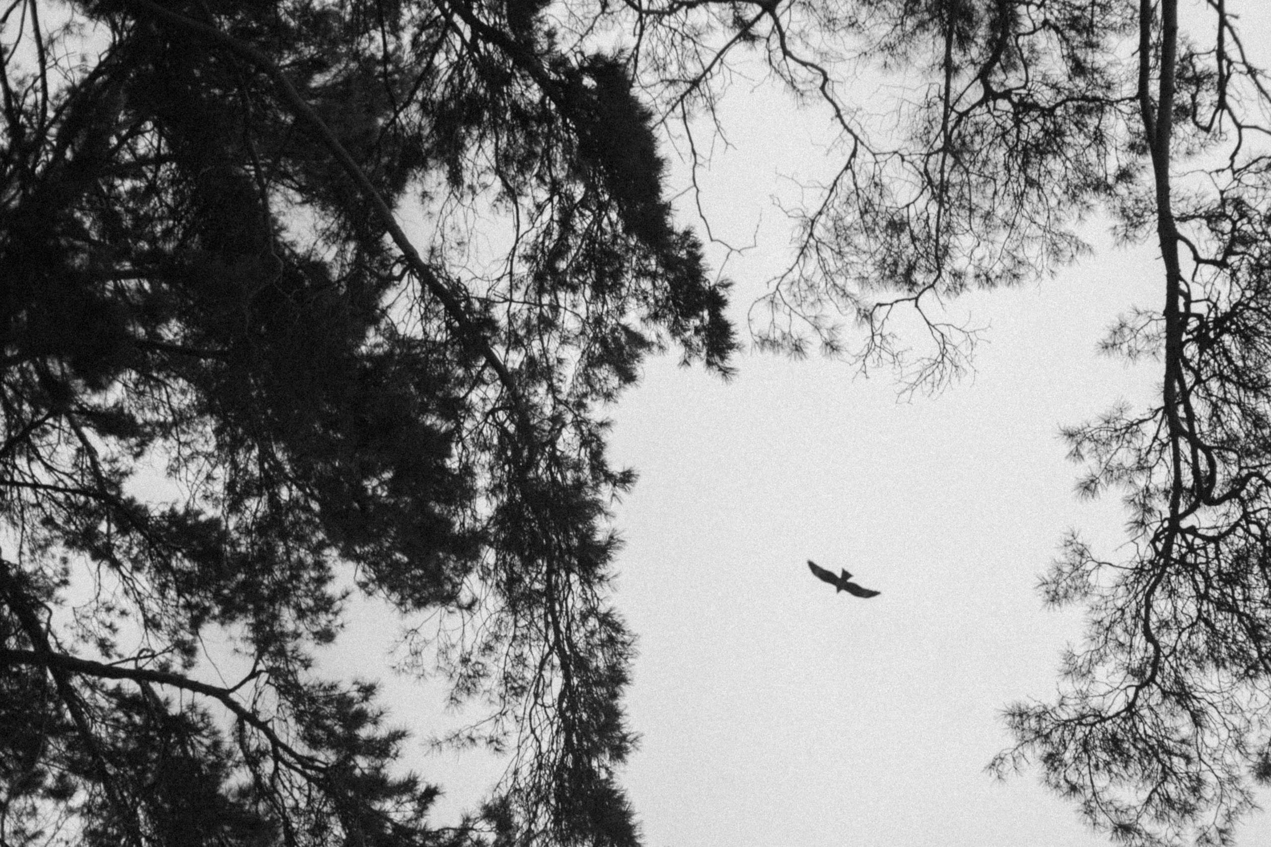 Море внутри меня. Свадебный и семейный фотограф в Южно-Сахалинске Софья Воропаева