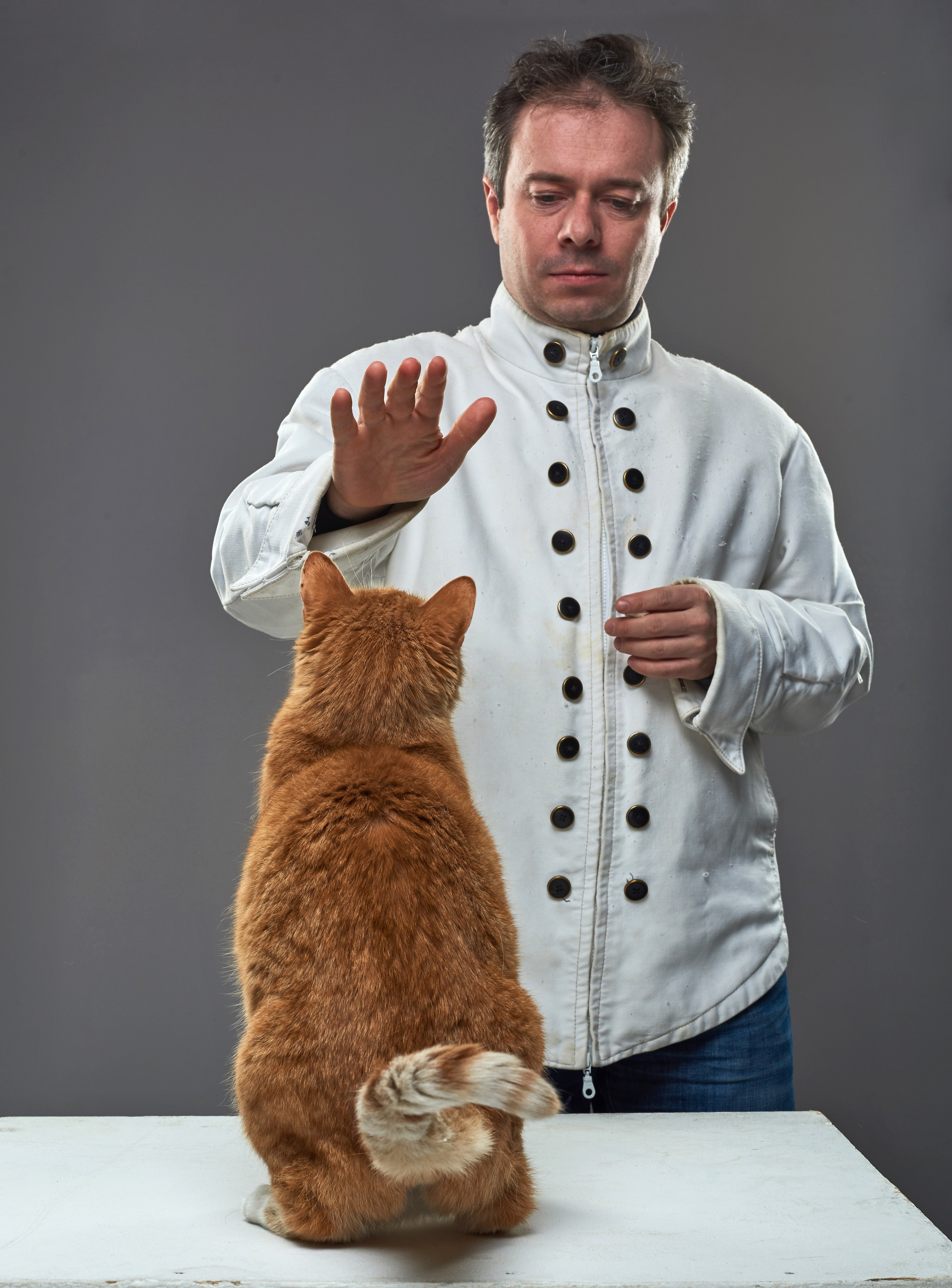 ЖИВОТНЫЕ. Www.apowerstudio.com