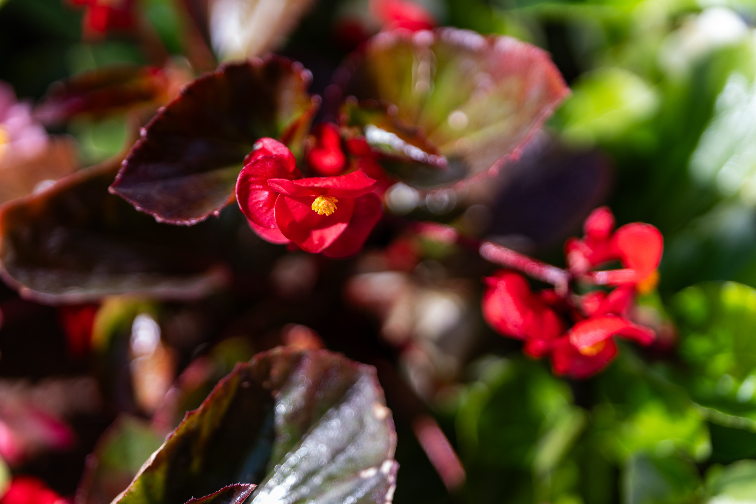 РОСАТОМ Conference. Фотограф Дмитрий Алехин. Репортажная съемка мероприятий в Москве