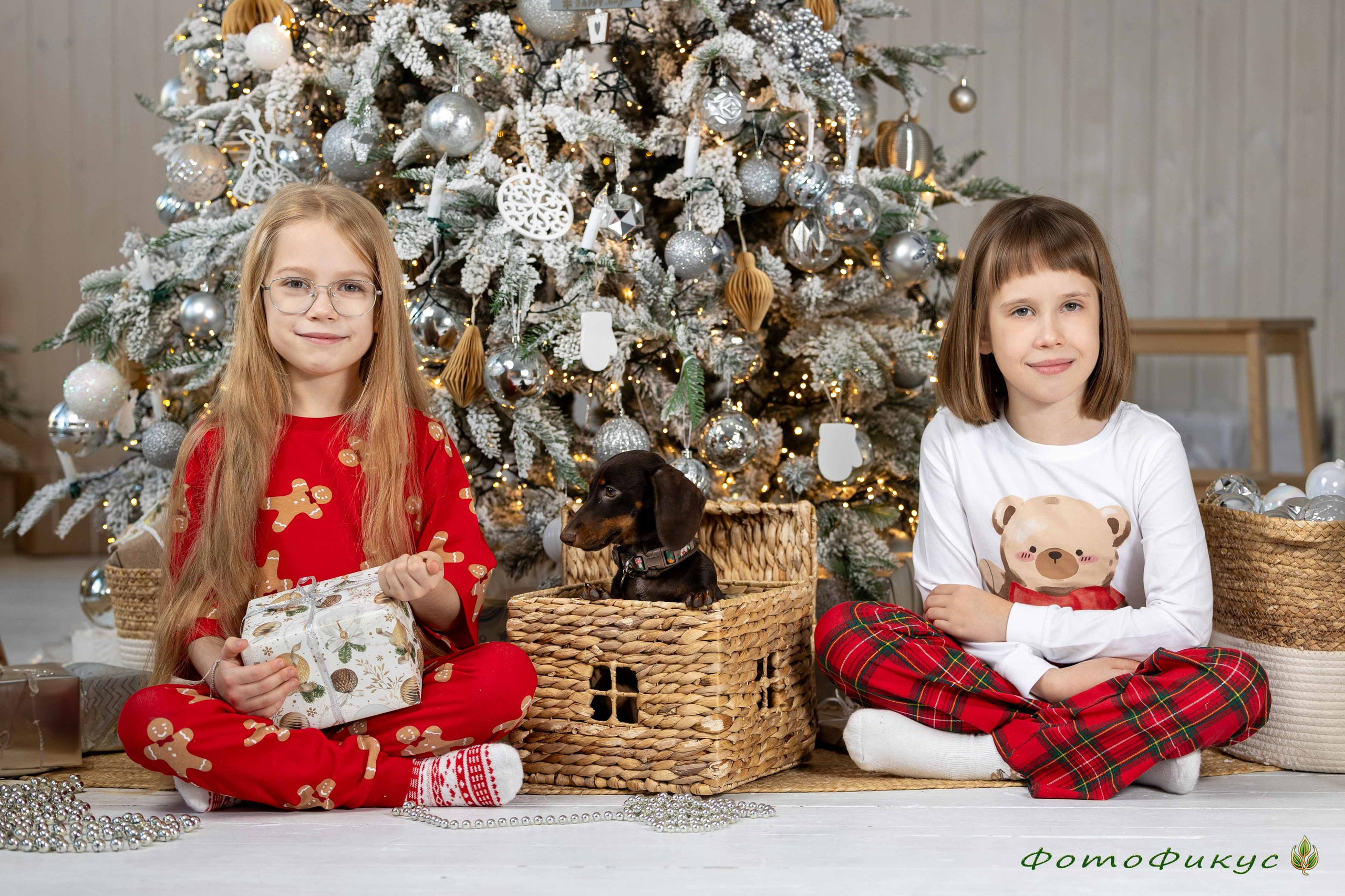 Новогодние. Фотографы Евгений и Екатерина. Фотофикус. Тюмень