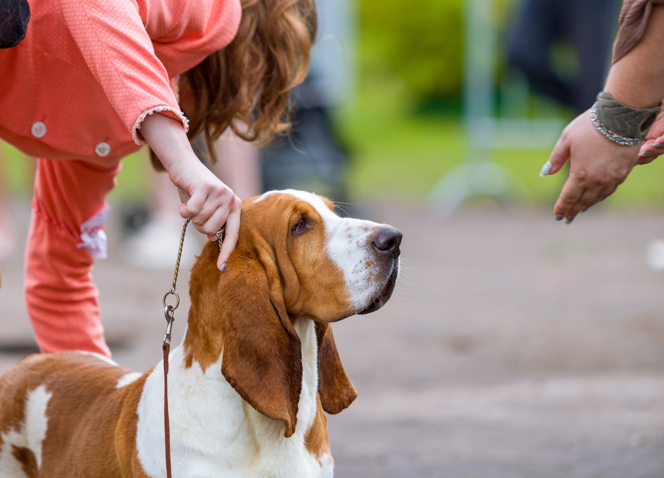 Выставки. Фотограф — анималист Татьяна Ли