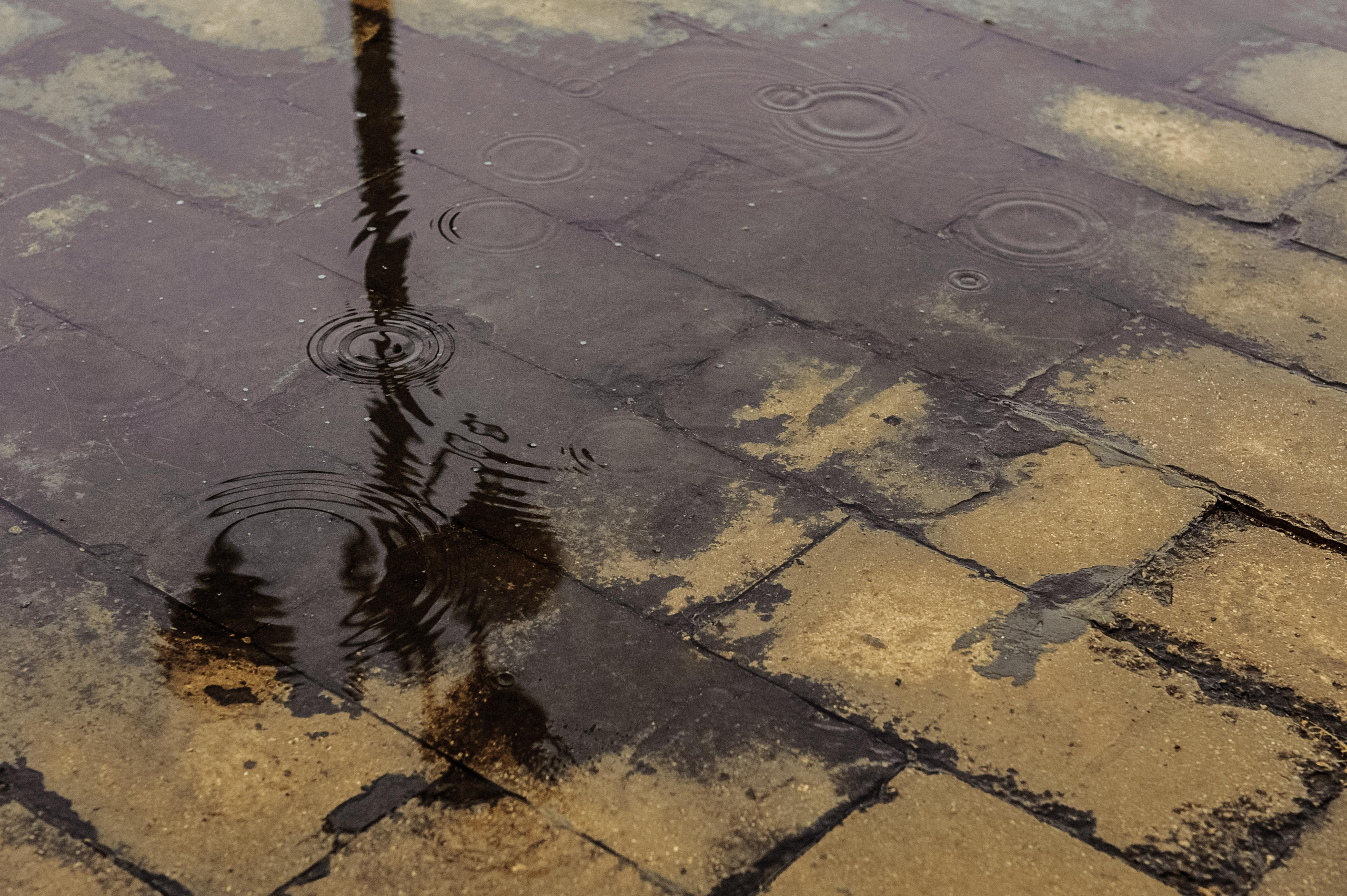 По семейному. Свадебный коммерческий фотограф Ростов-на-Дону, Москва