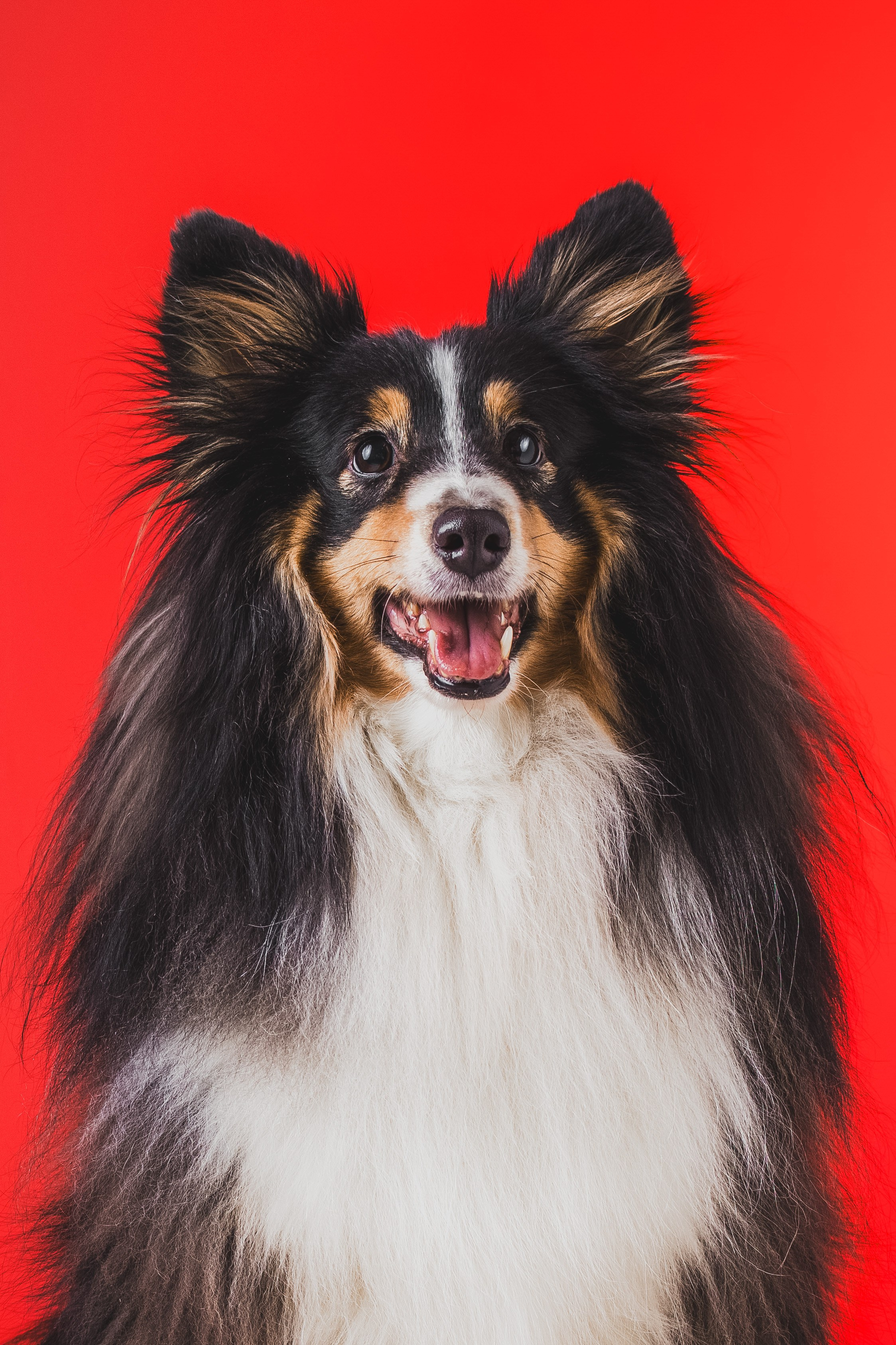 Воркшоп по импульсному свету