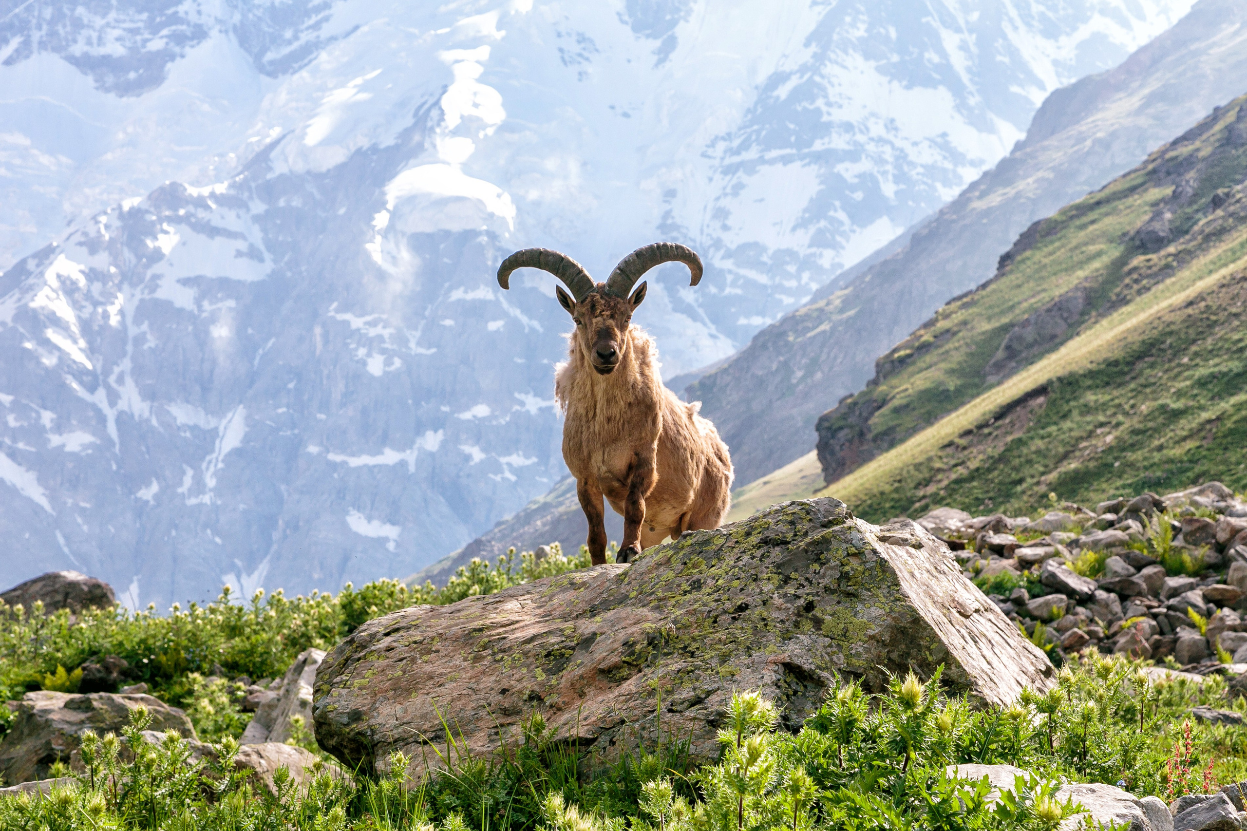 Путешествия