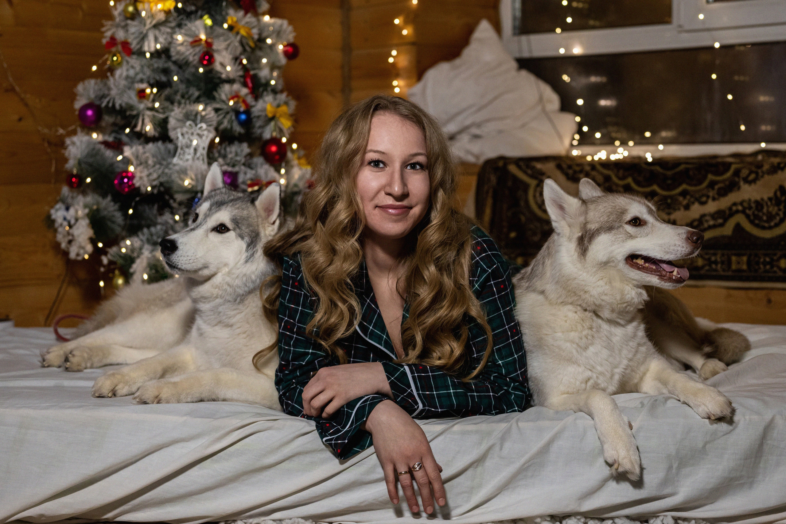 Фотопроект с хаски 2024 г. Фотограф в городе Салават