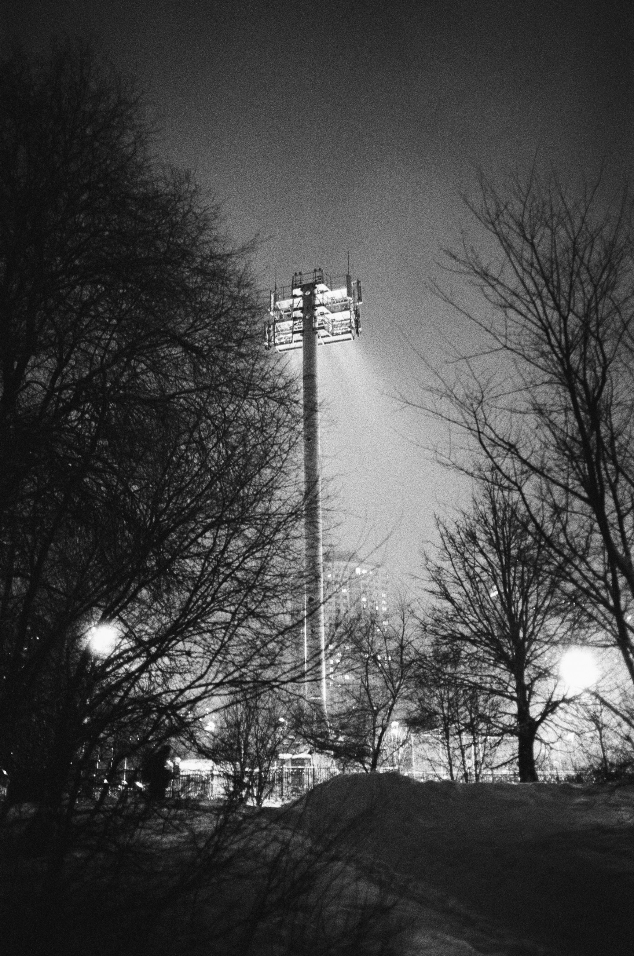 Voigtlander BESSA-T / Ultron 28 mm f/2 / Ilford PAN 400