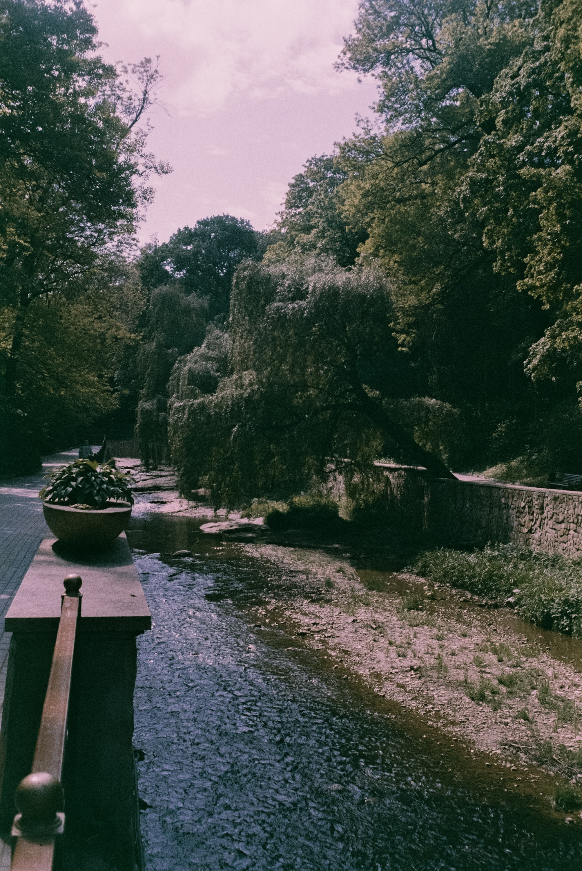 Кисловодск 11 мая / Fujicolor Superia 200 (просрочка) / Minox 35GT