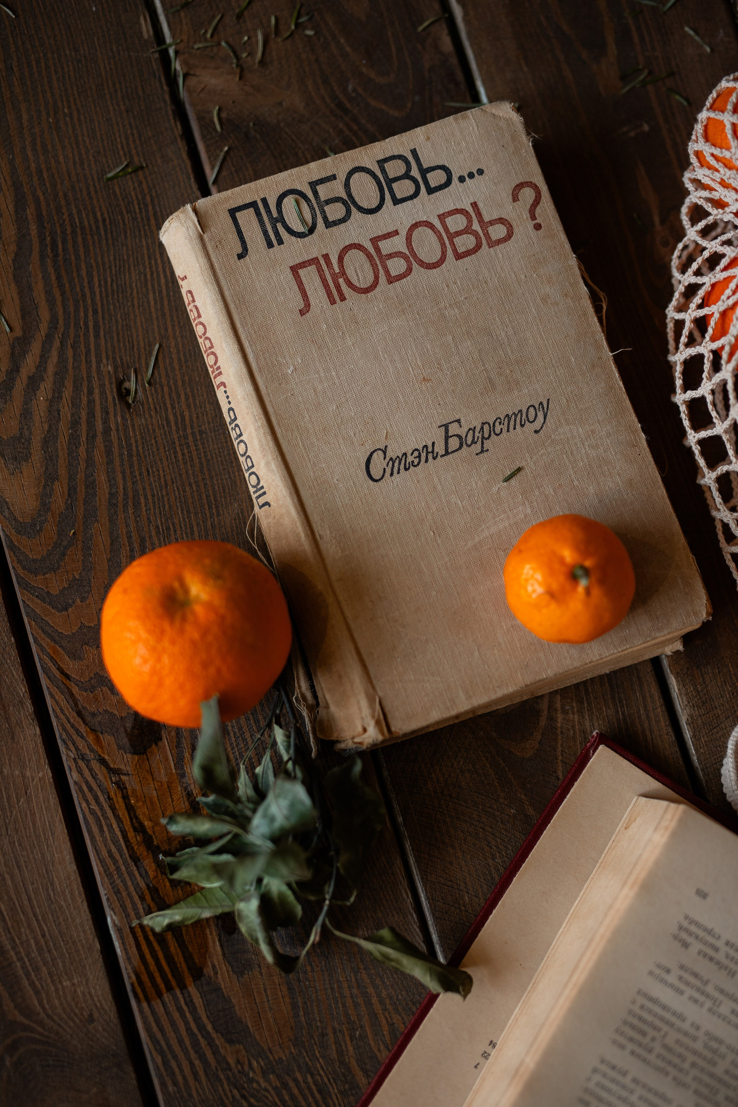 Новогодняя Семейная. Фотограф Анастасия Петрова