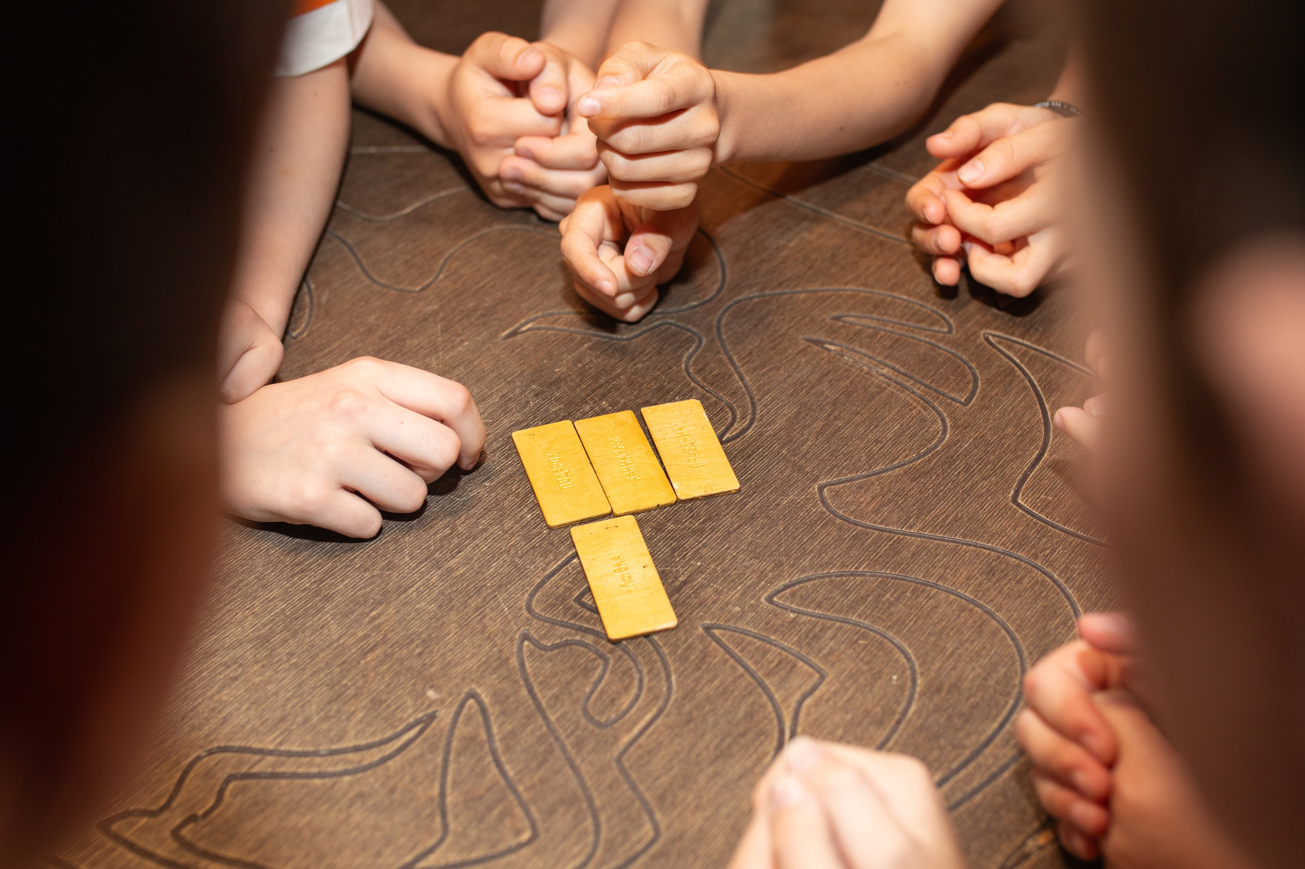 Форт Боярд -. Фотограф в Новосибирске Ася Зверева