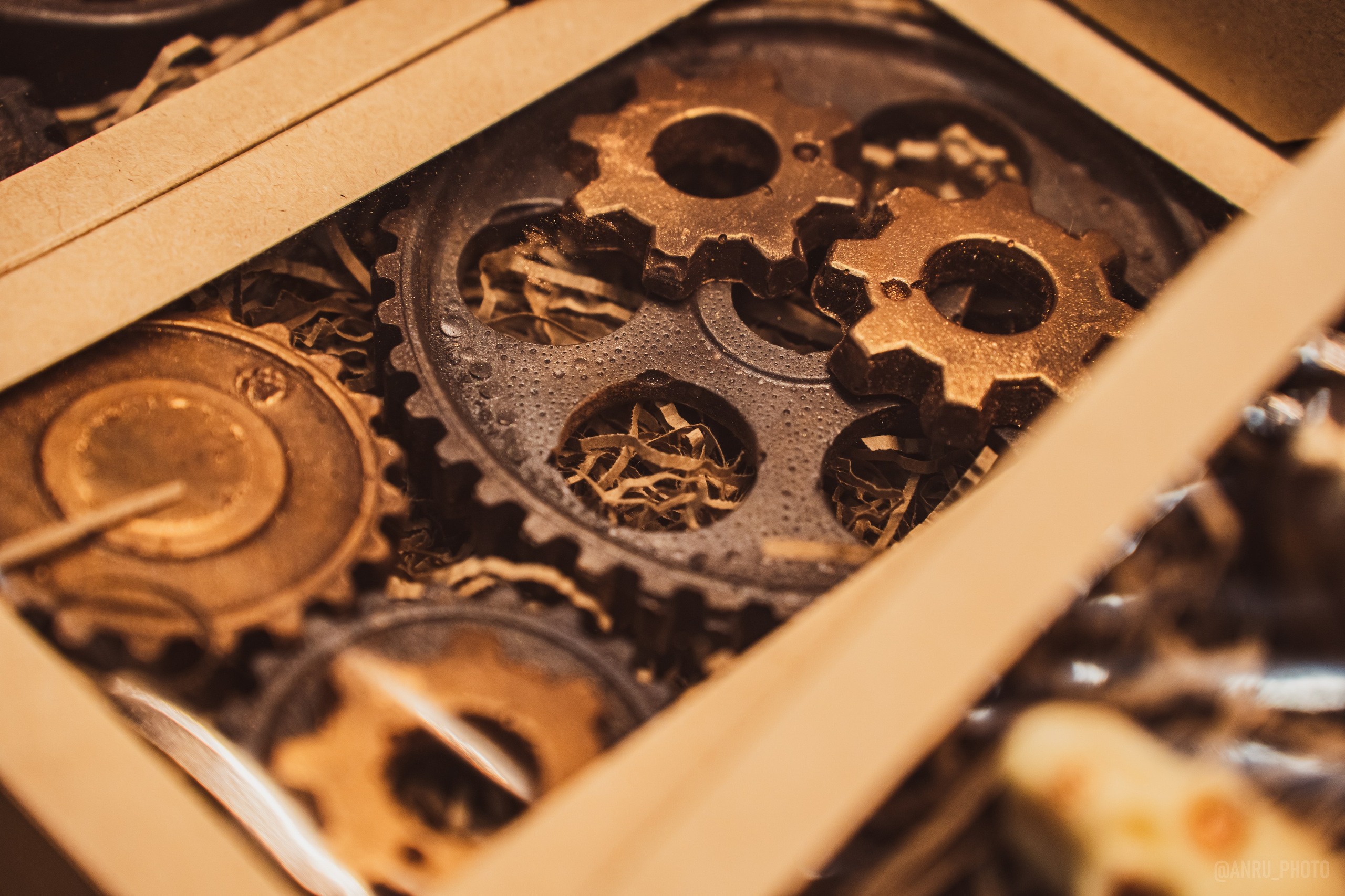 Fox Family fest. Репортажный фотограф Анастасия Рубцова