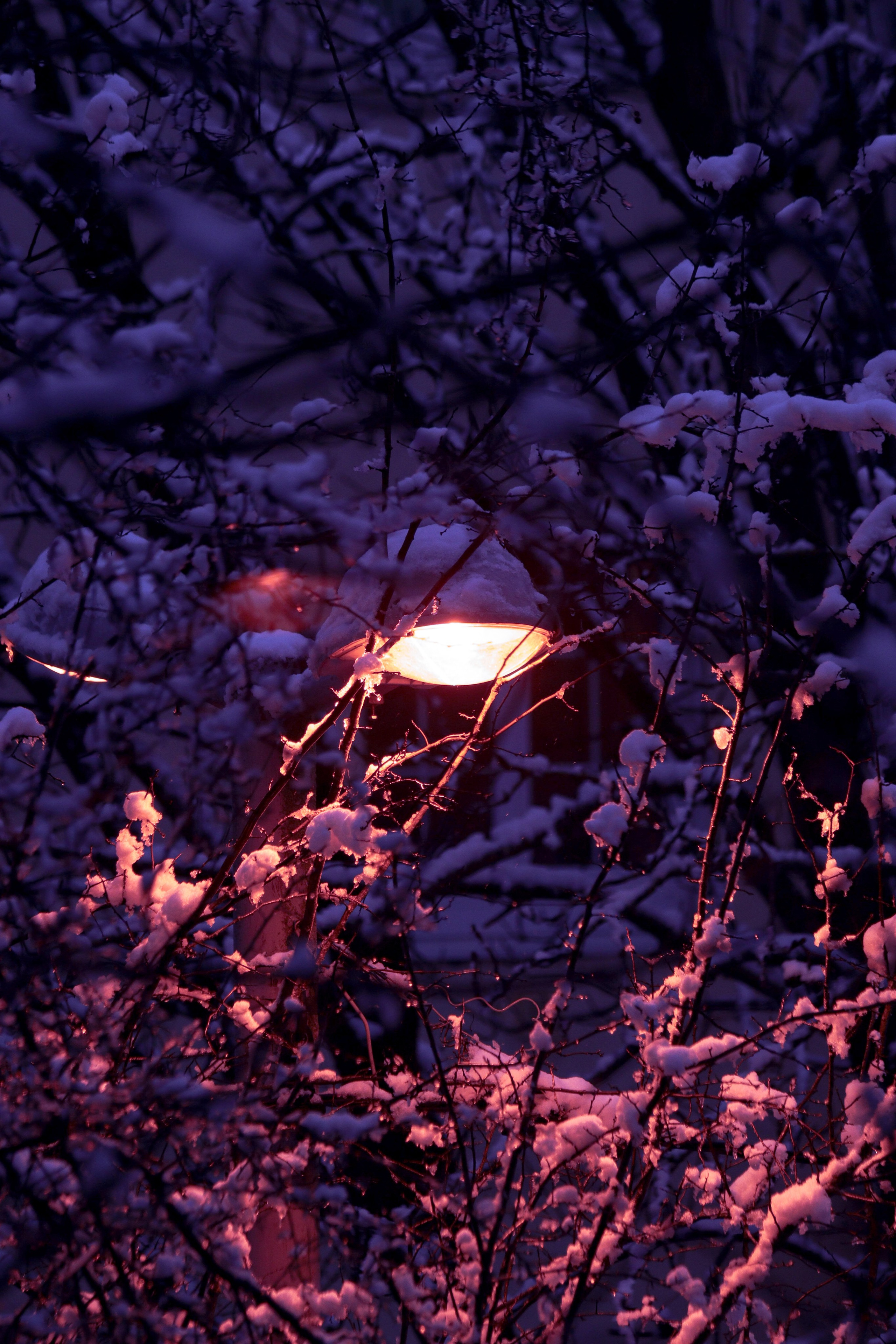 Ф И О Л Е Т О В А Я — Э С Т Е Т И К А. — Digital Noise —