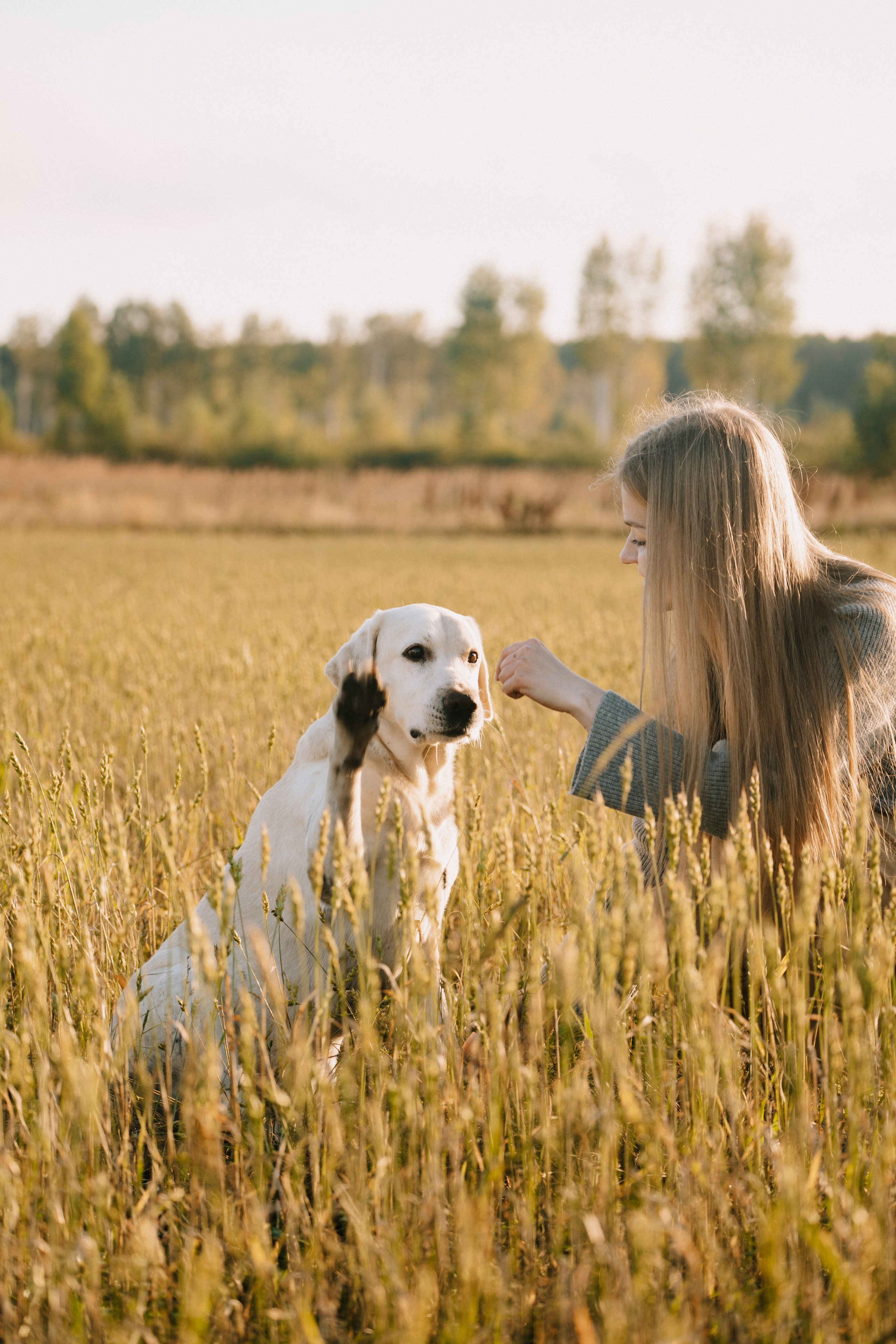 Дана и Арчи. Фотограф-анималист Анастасия Большакова