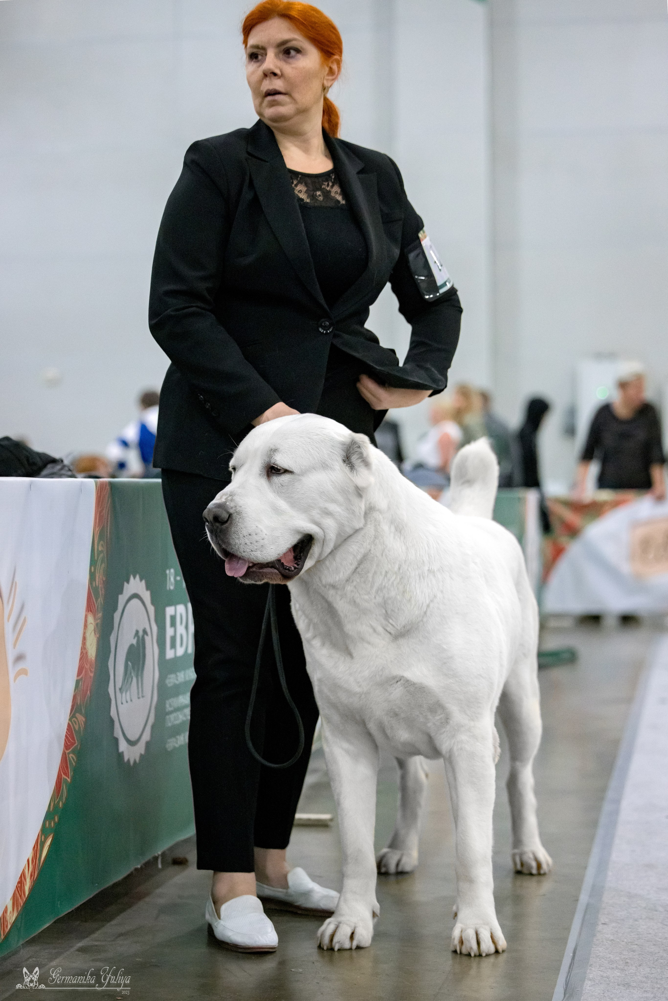 ЕВРАЗИЯ 18-19.11.2023. Фотограф-анималист Юлия Германика