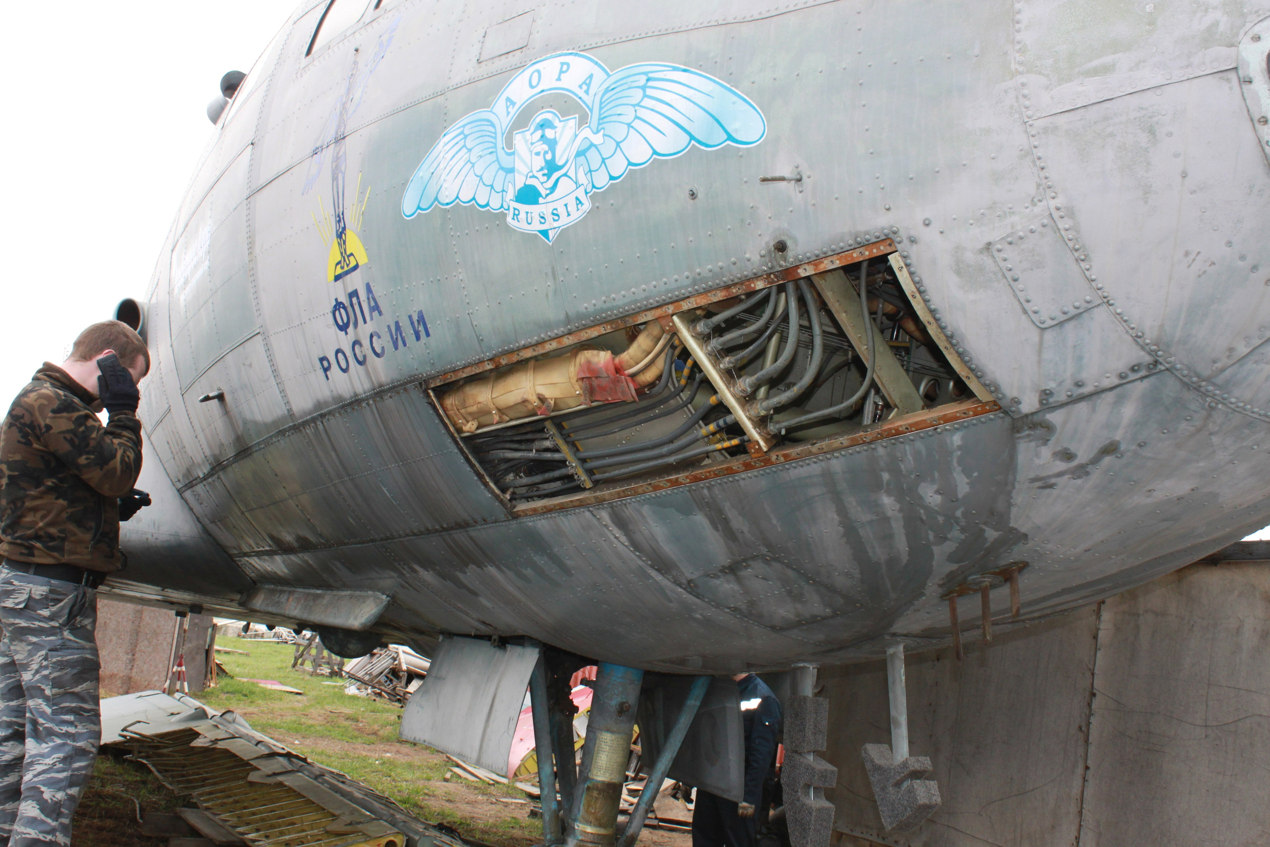 Ил-14Т «Голубая Мечта» работы в Тушино (2011 г.). Фотоальбом показывающий увлекательный мир авиации и мир медведей Андрея Иванова