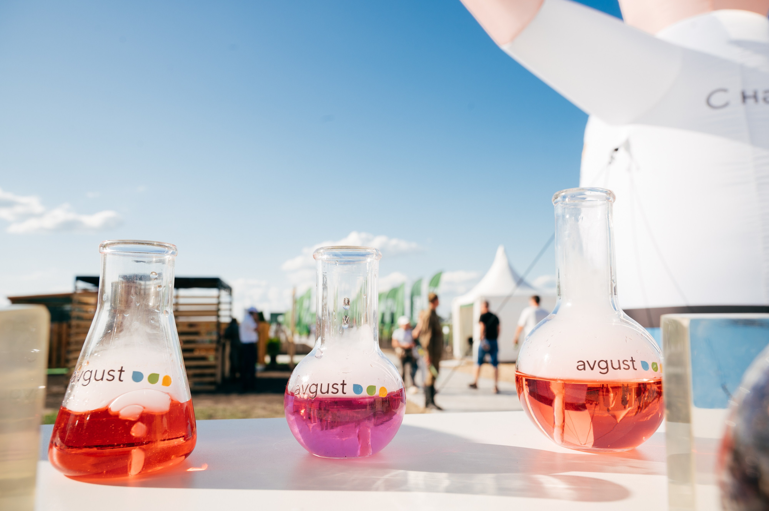 Всероссийский день поля 2025. SARKISOPH | Фотограф Волгоград