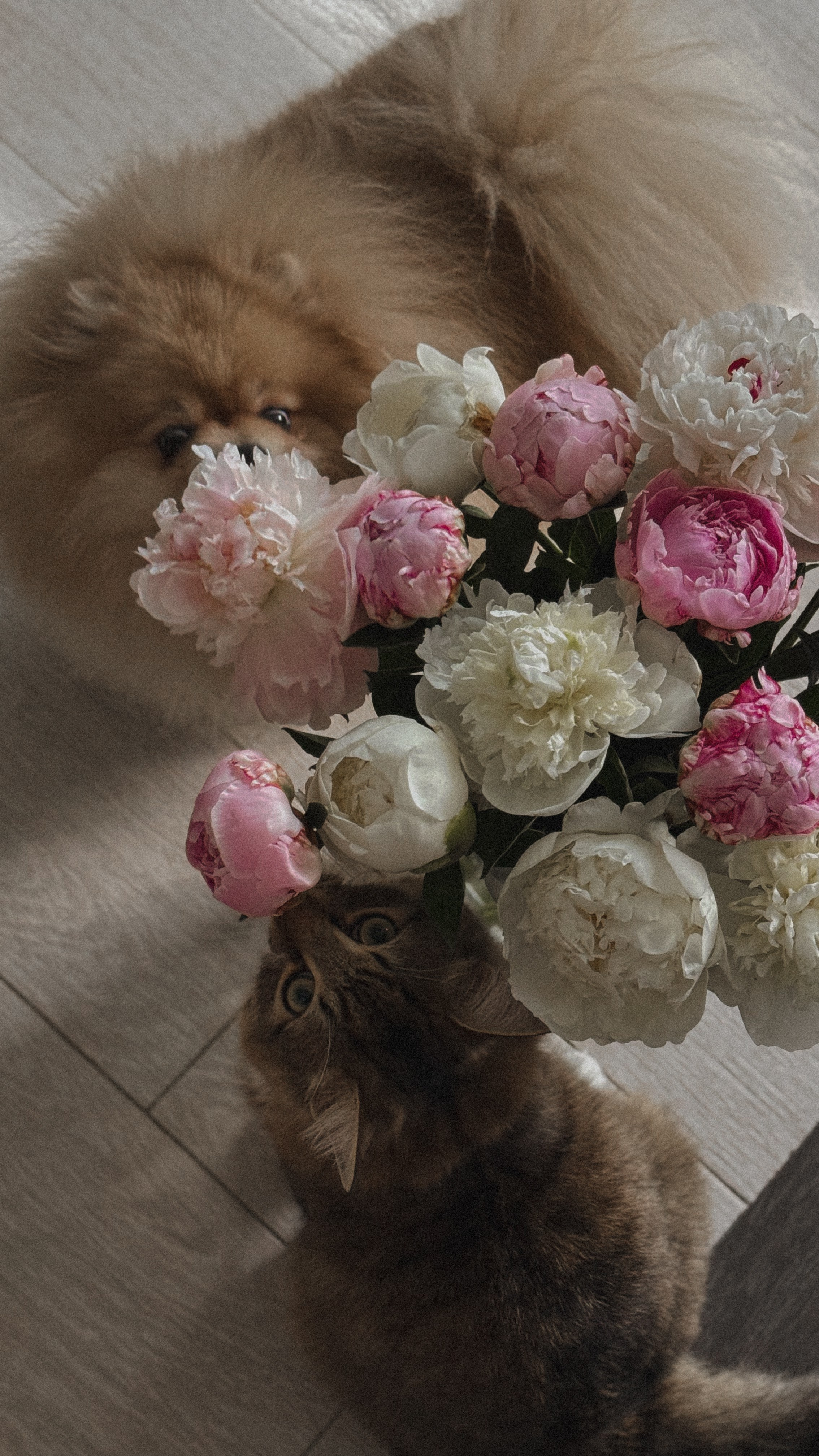 СЕЛФИ. Фотограф Санкт-Петербург