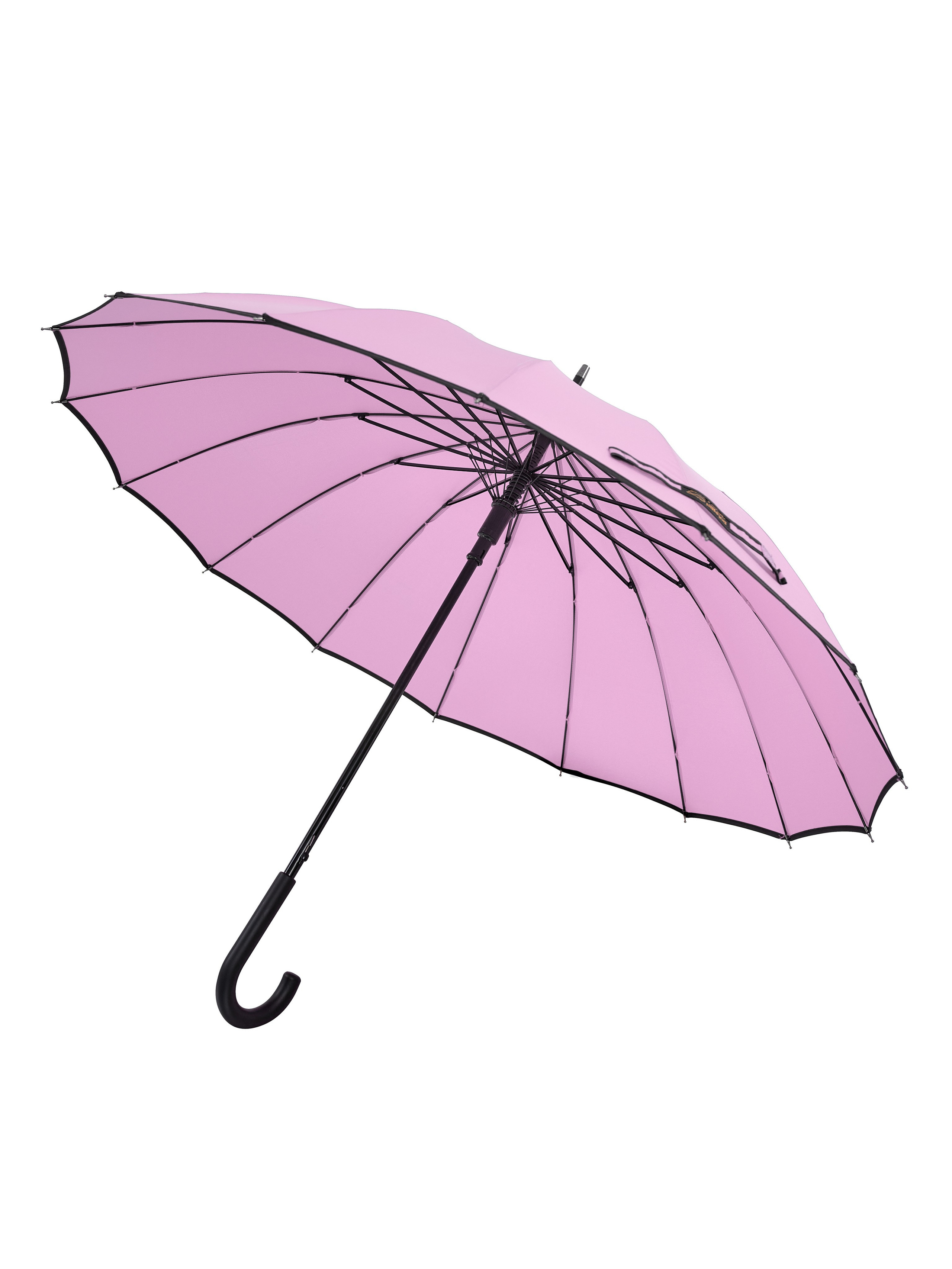 Dolphin. Zubkov Jan Hochzeitsfotograf Deutschland