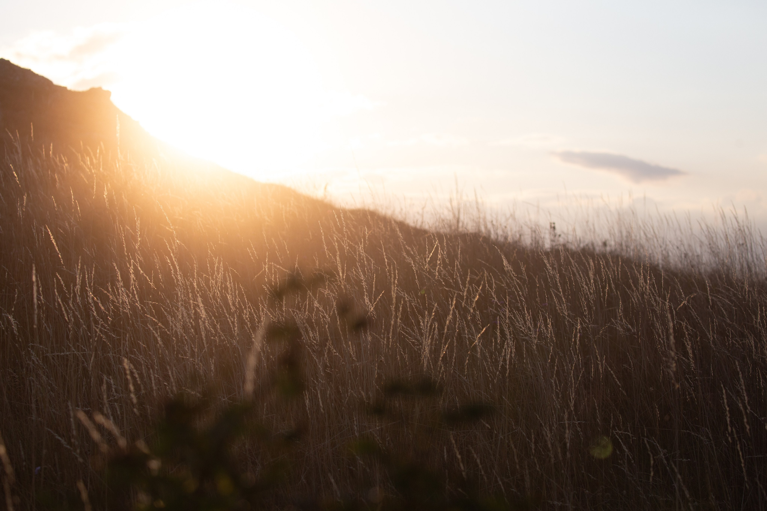 Моменты из жизни. Фотограф Василий Герасимов, Москва. Свадебная, репортажная фотосъемка