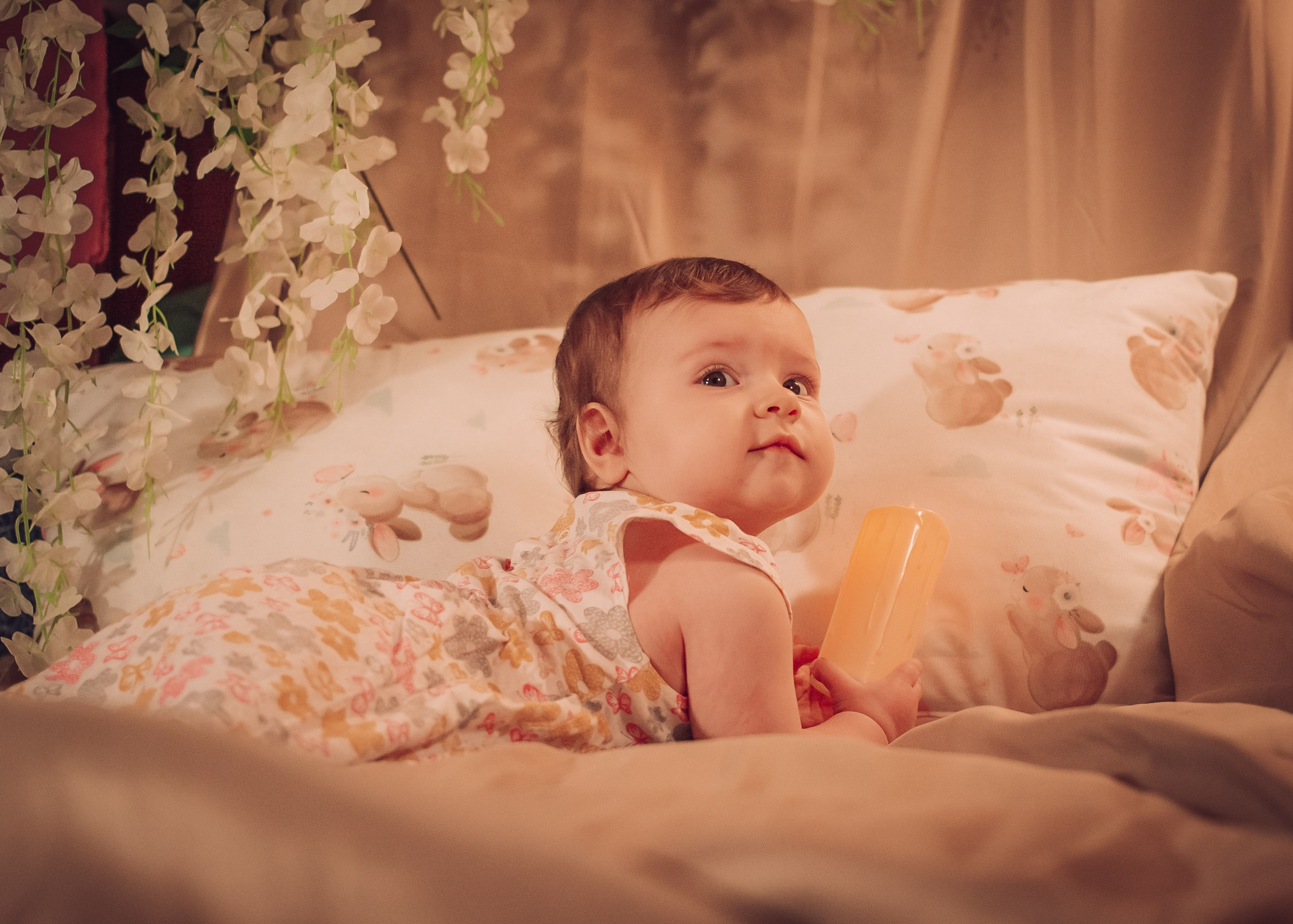 Anastasia. Фотограф Зеленоград, Москва