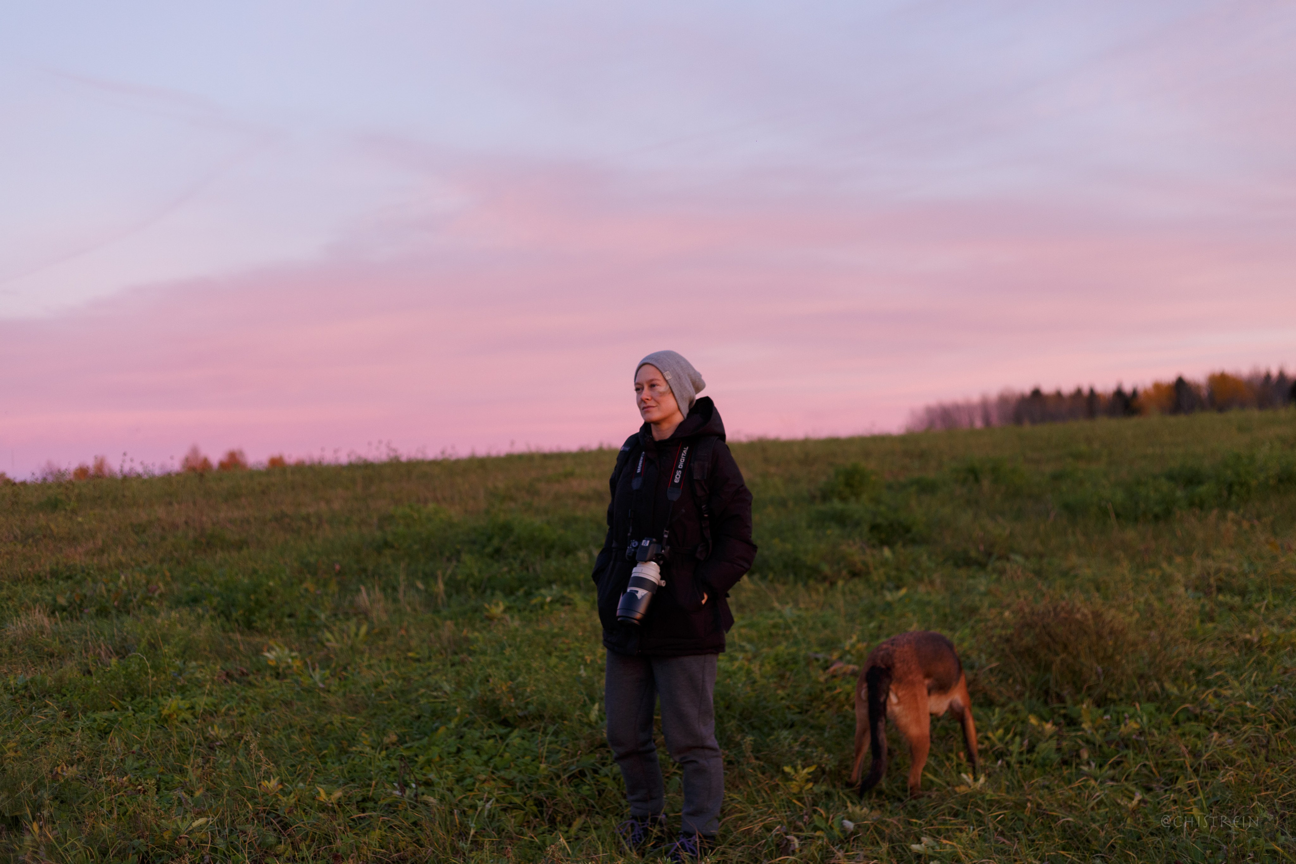 Октябрьский закат в полях. Алина и Лео. Фотограф-анималист Наталия Чистюхина в г. Сосновый Бор и ЛО