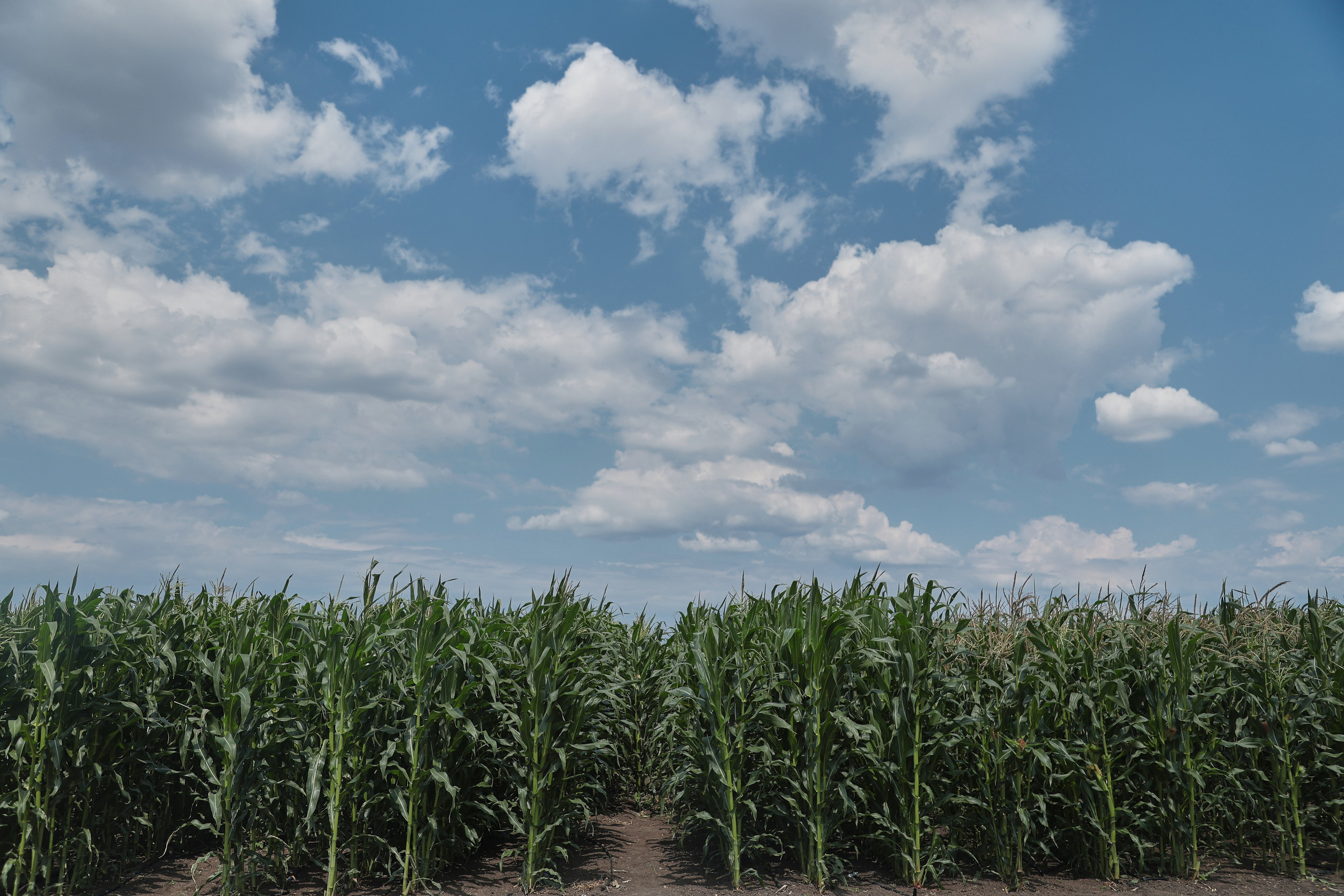 Репортажная съемка. Женский и контент фотограф Данилина Ирина в Москве