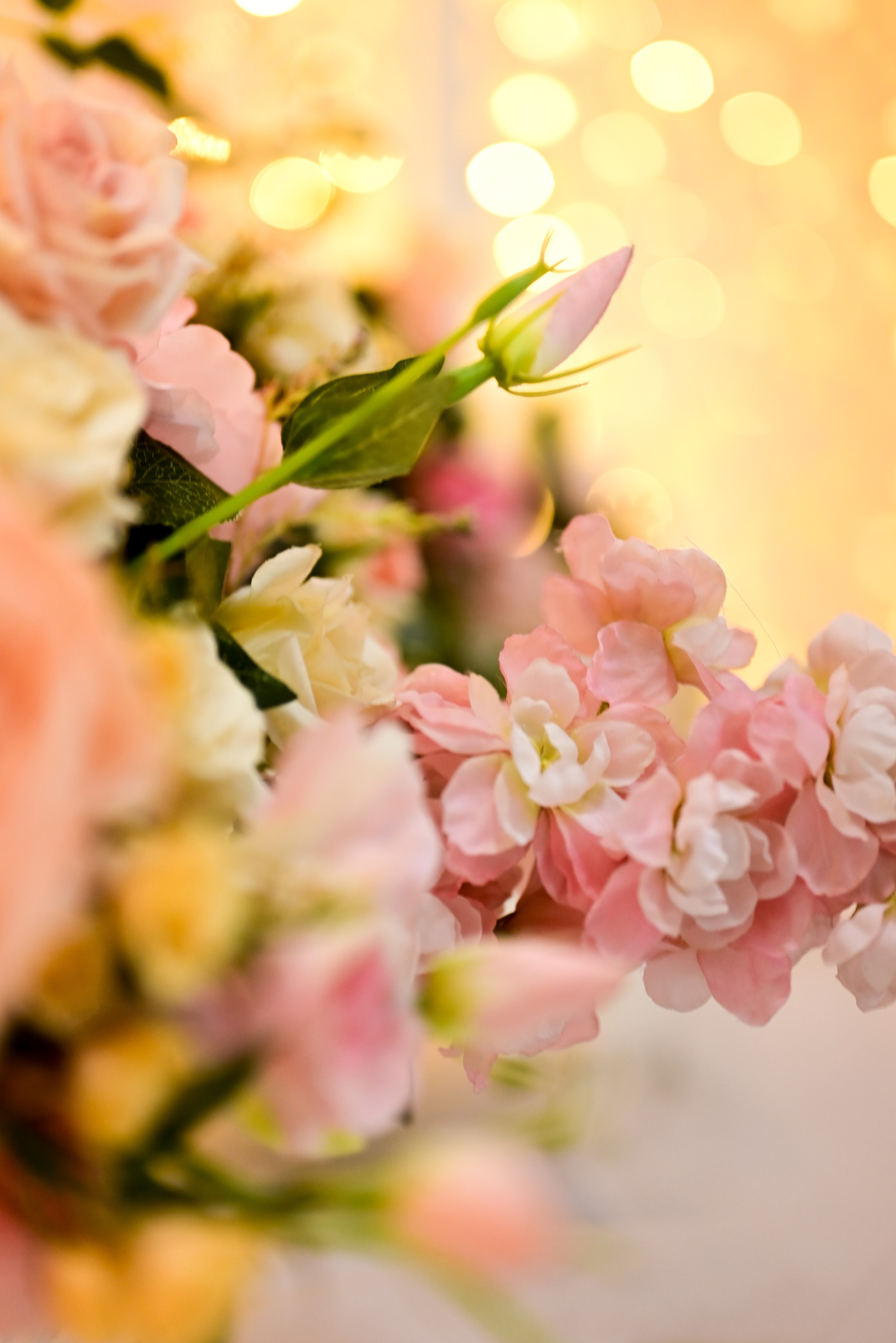 Зал — Family. Фотостудия Зефир. Фотосессии в студии под ключ. Москва. Семейные и детские фотосессии