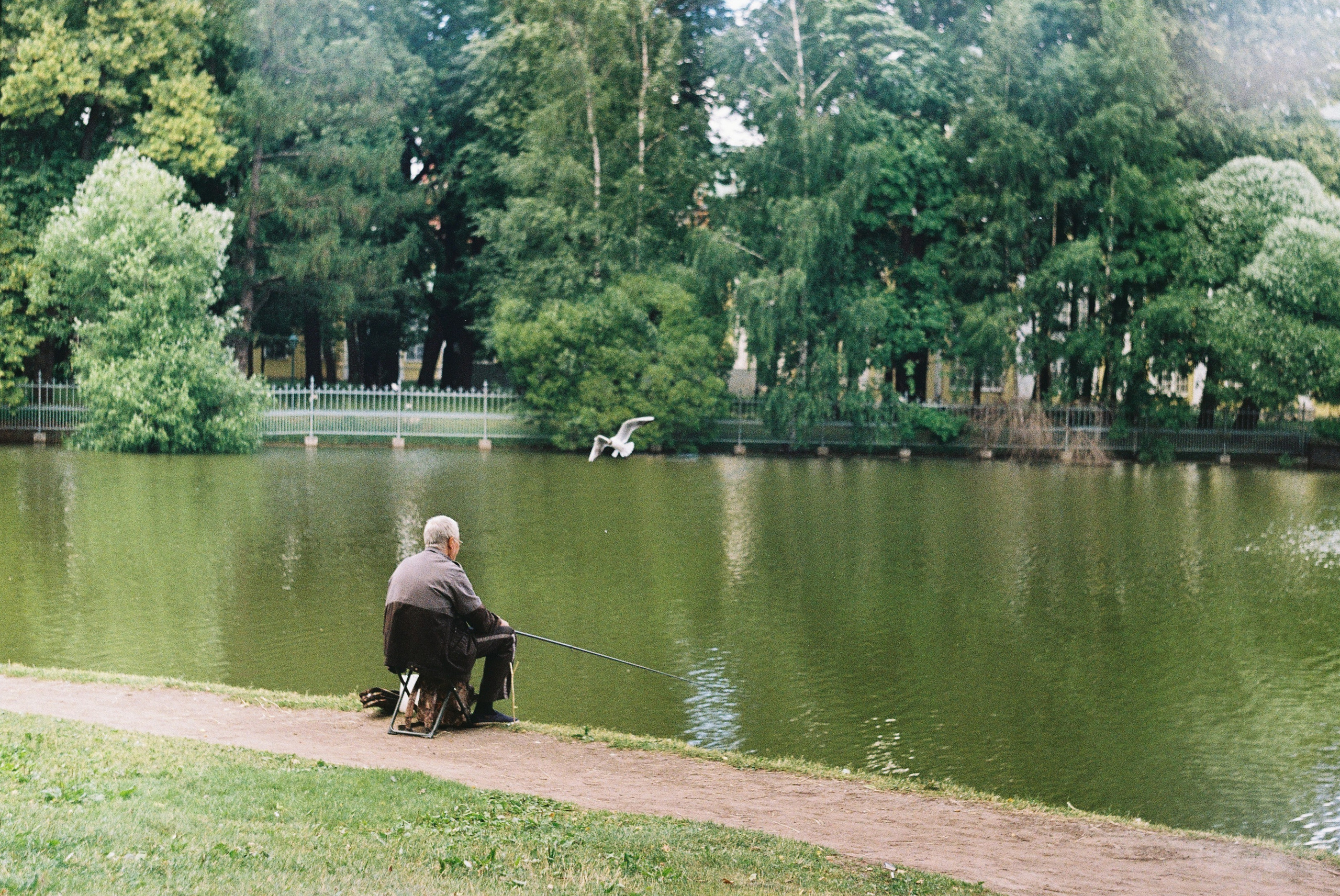 Пленка. Репортажный фотограф в Москве Федор Вдовин