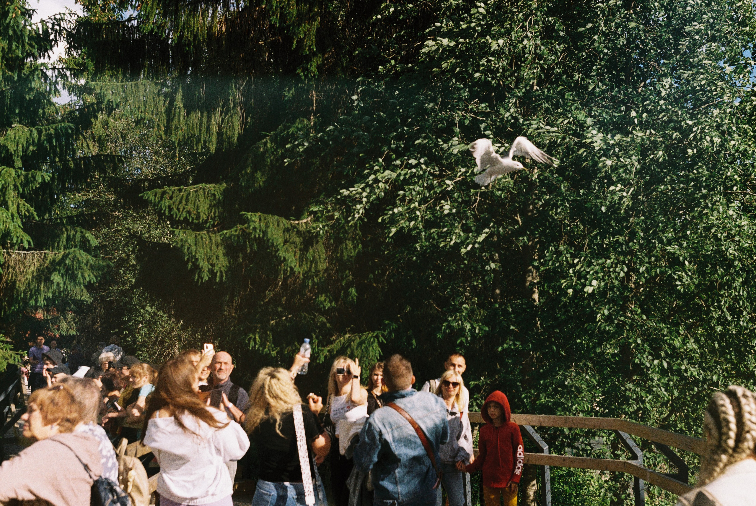 Пленка. Репортажный фотограф в Москве Федор Вдовин