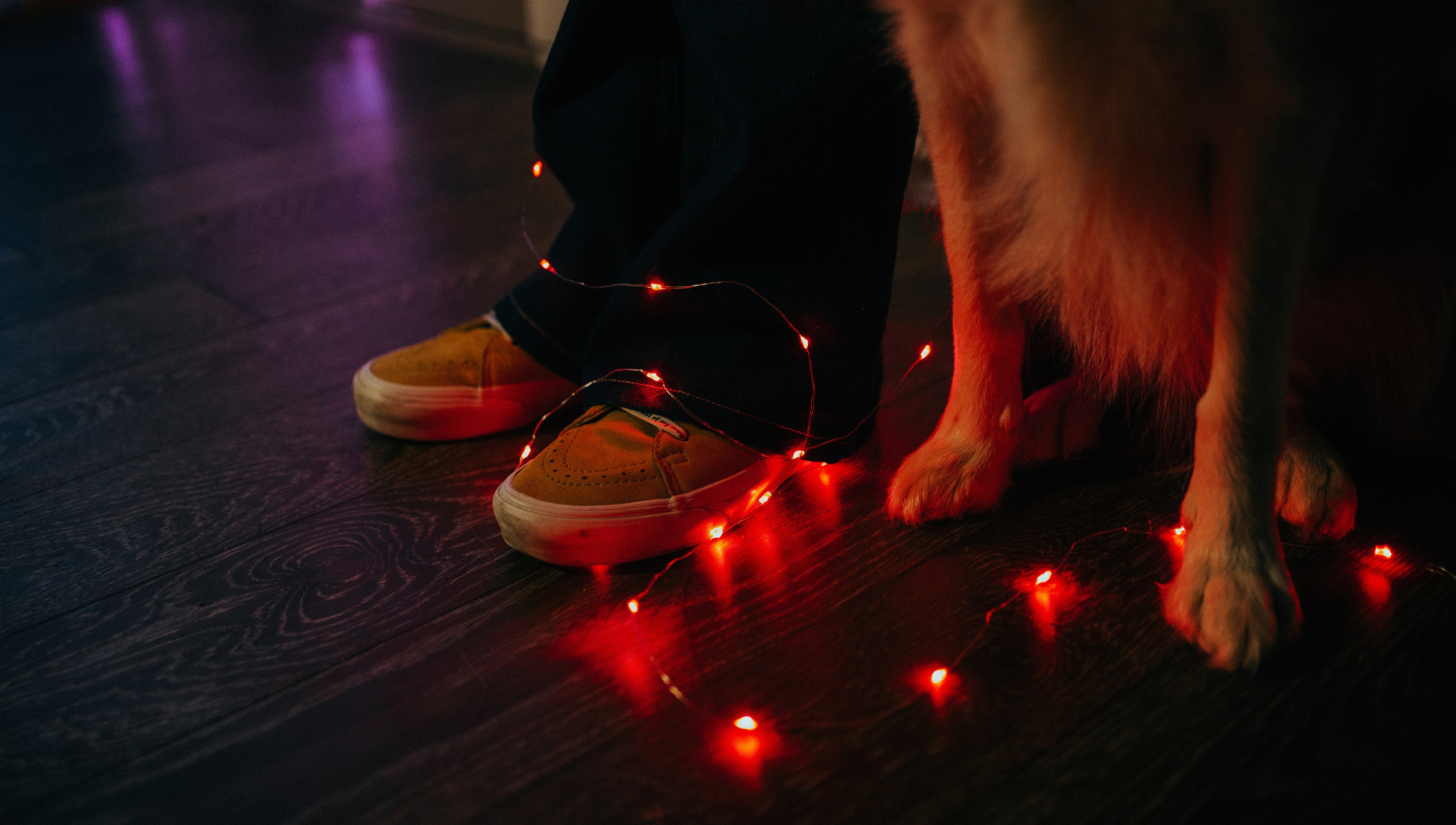 Аня и Дэймон. Фотограф-анималист Богданова Полина