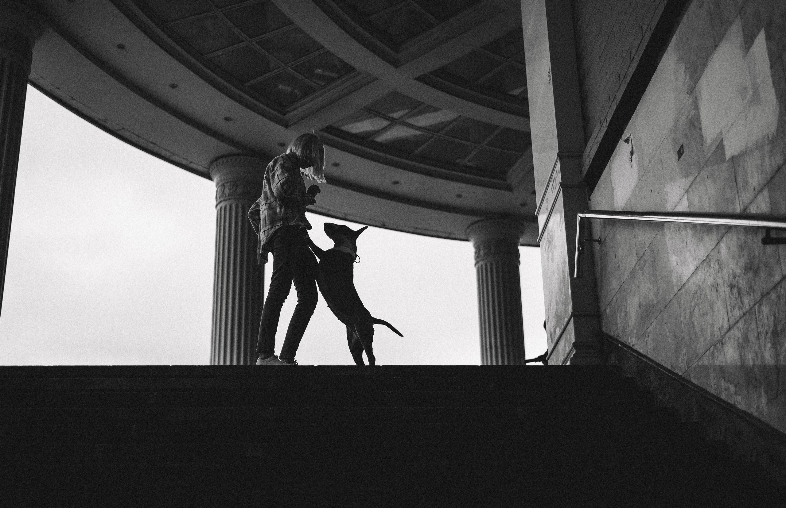 Маша и Рулька. Фотограф-анималист Богданова Полина