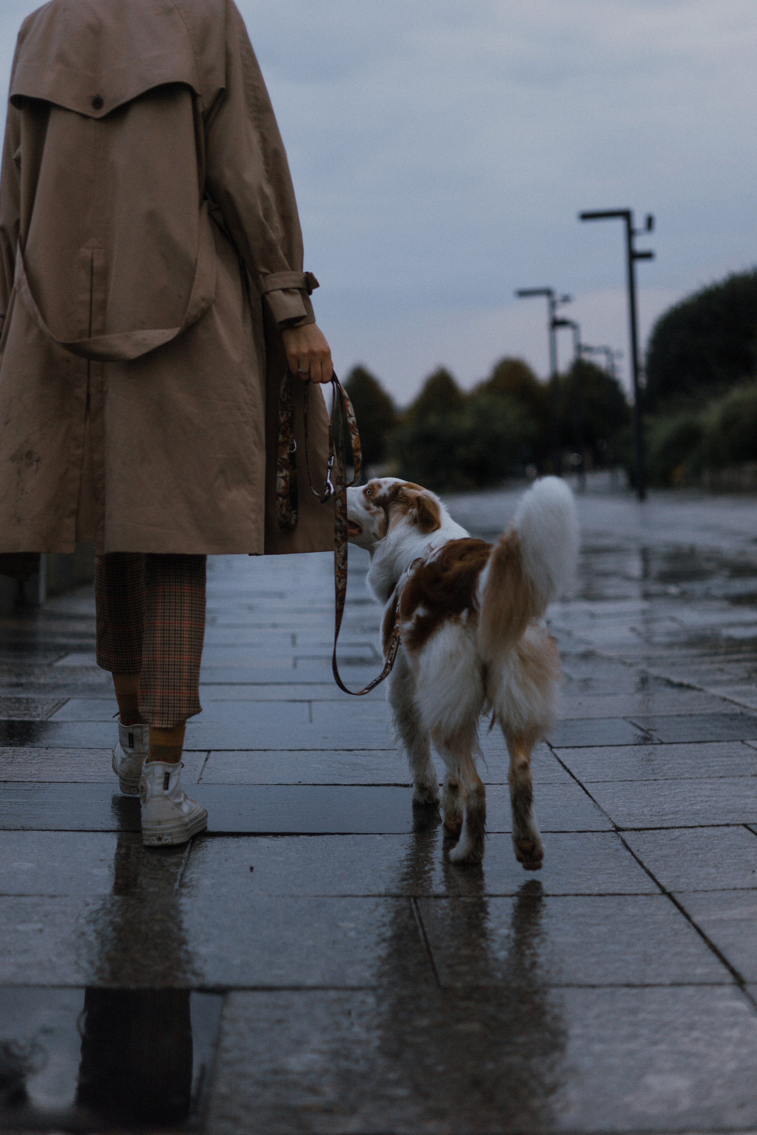 Светлана и Оливия. Фотограф-анималист Богданова Полина