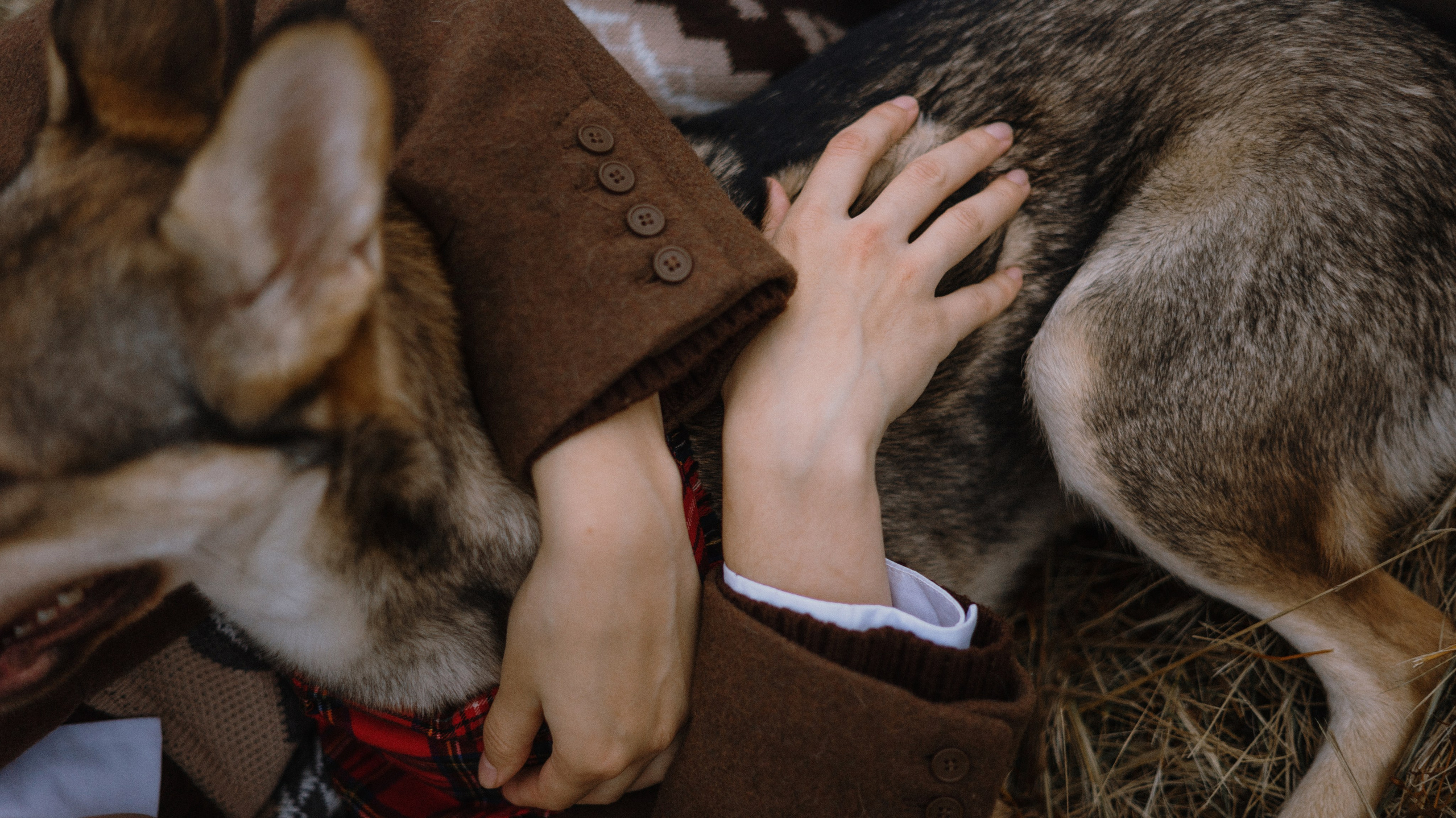Маша, Катя, Астрид и Мася. Фотограф-анималист Богданова Полина