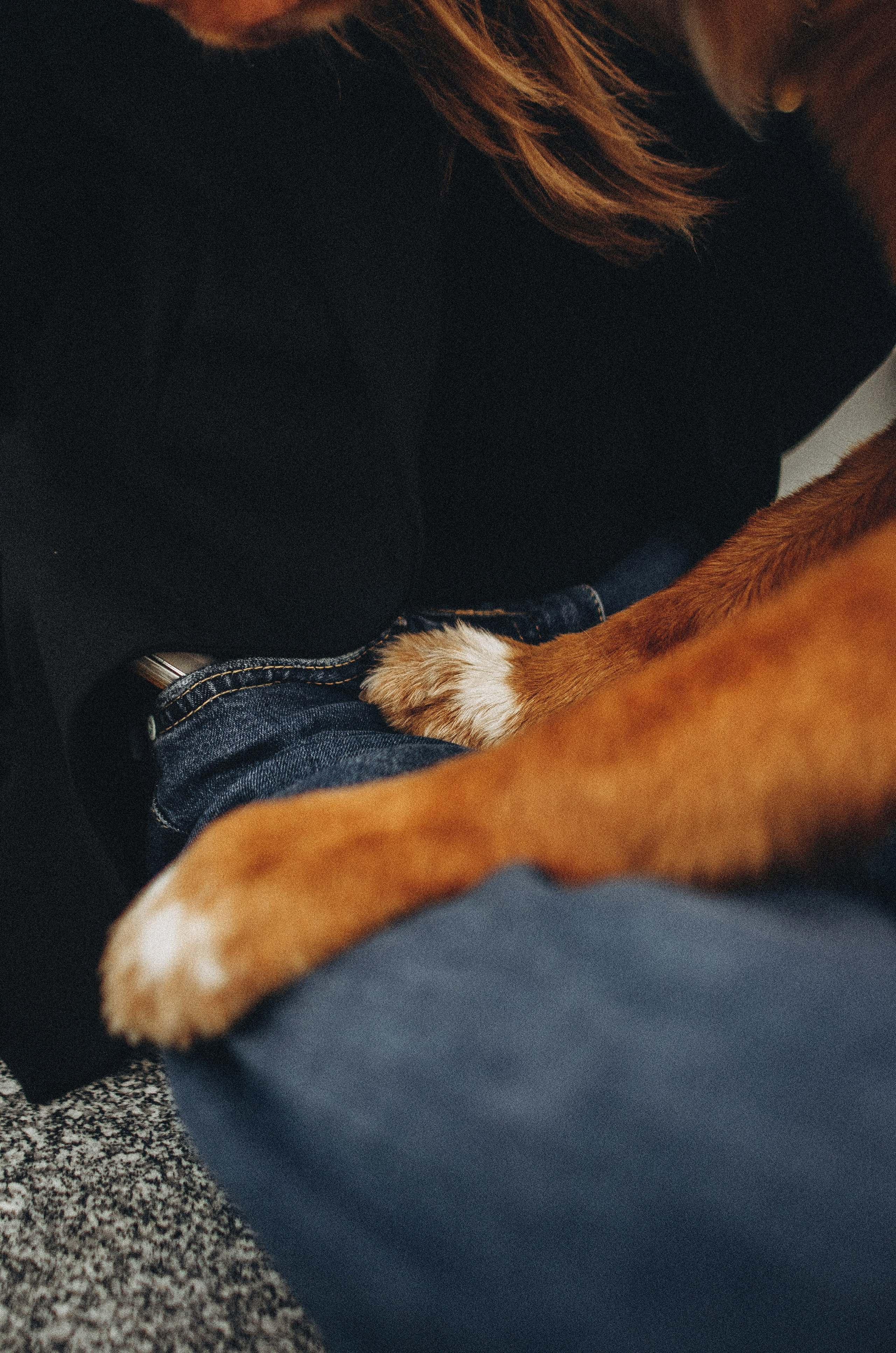 Алина и Бис. Фотограф-анималист Богданова Полина