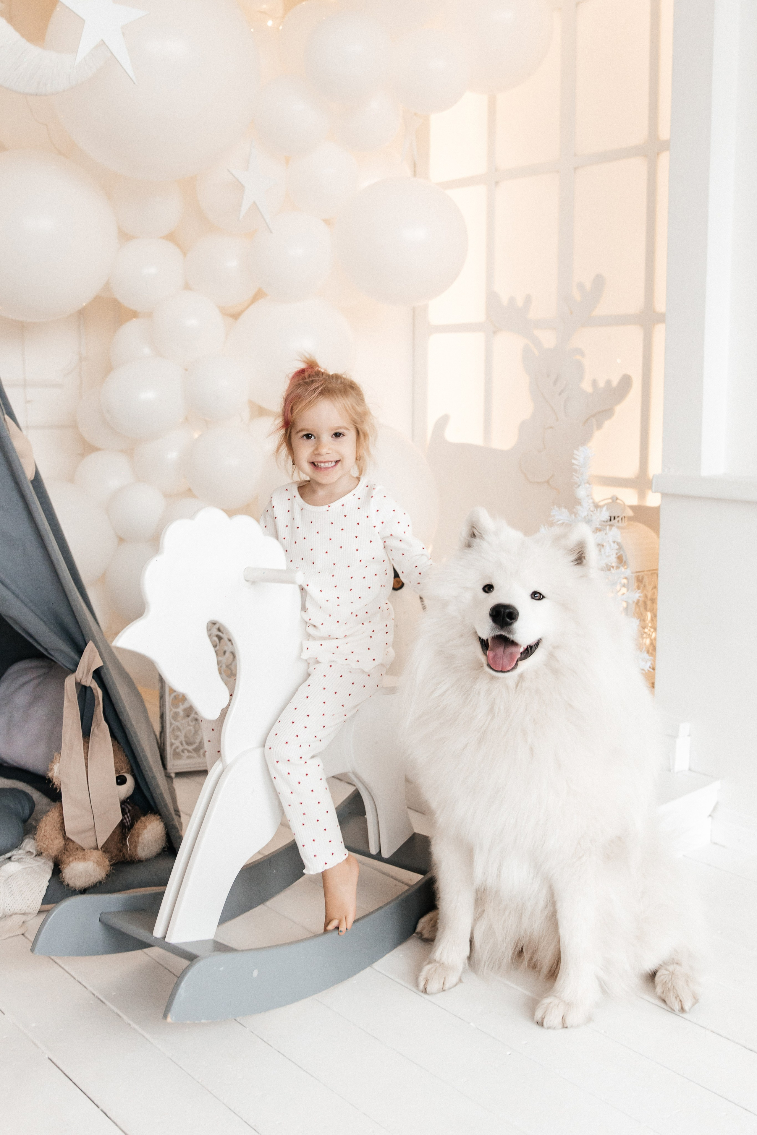 Фотостудия ‌Glory. Самоед Новосибирск