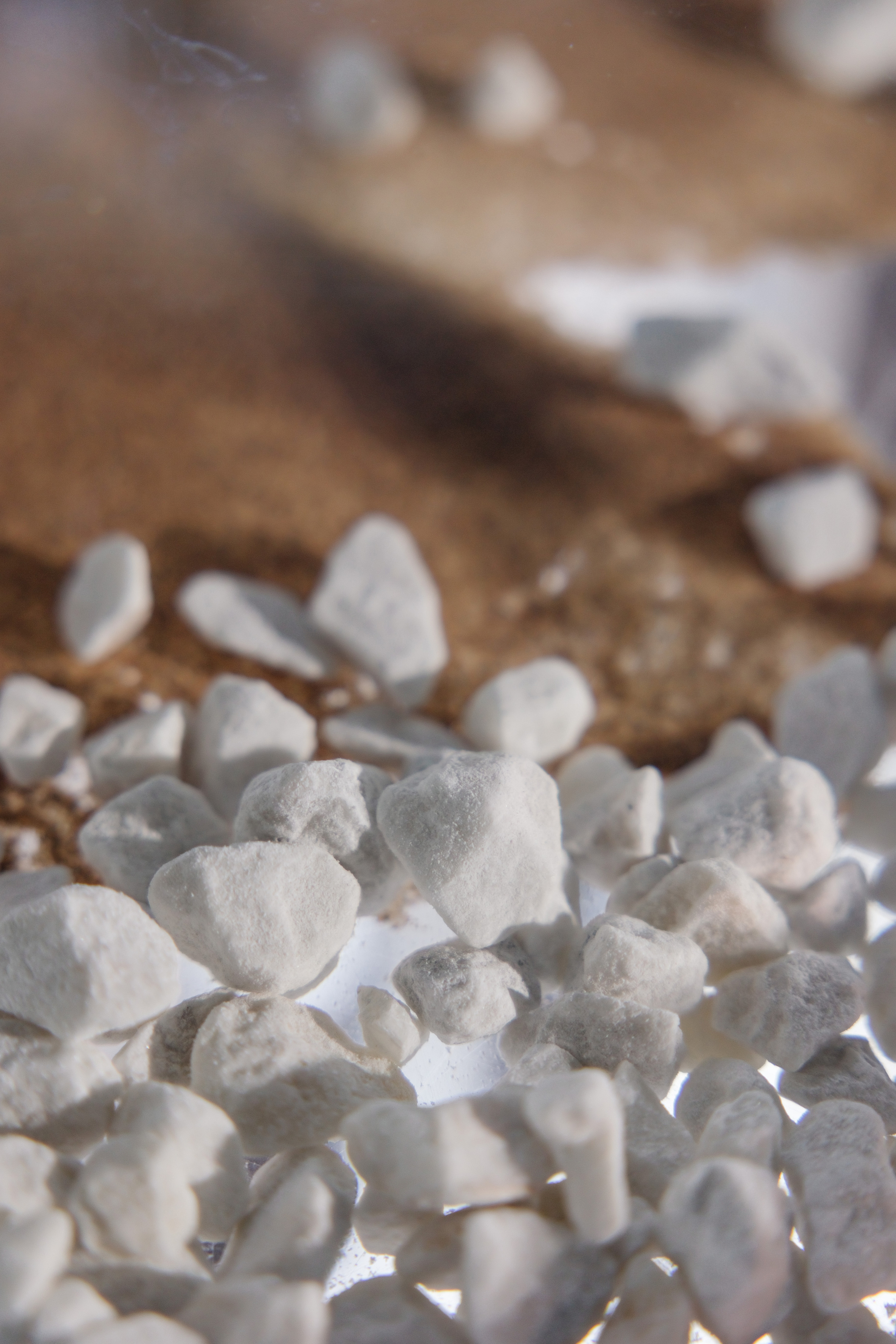 Венчание Лёши и Лены. Репортажный фотограф Ольга Кочетова в Москве