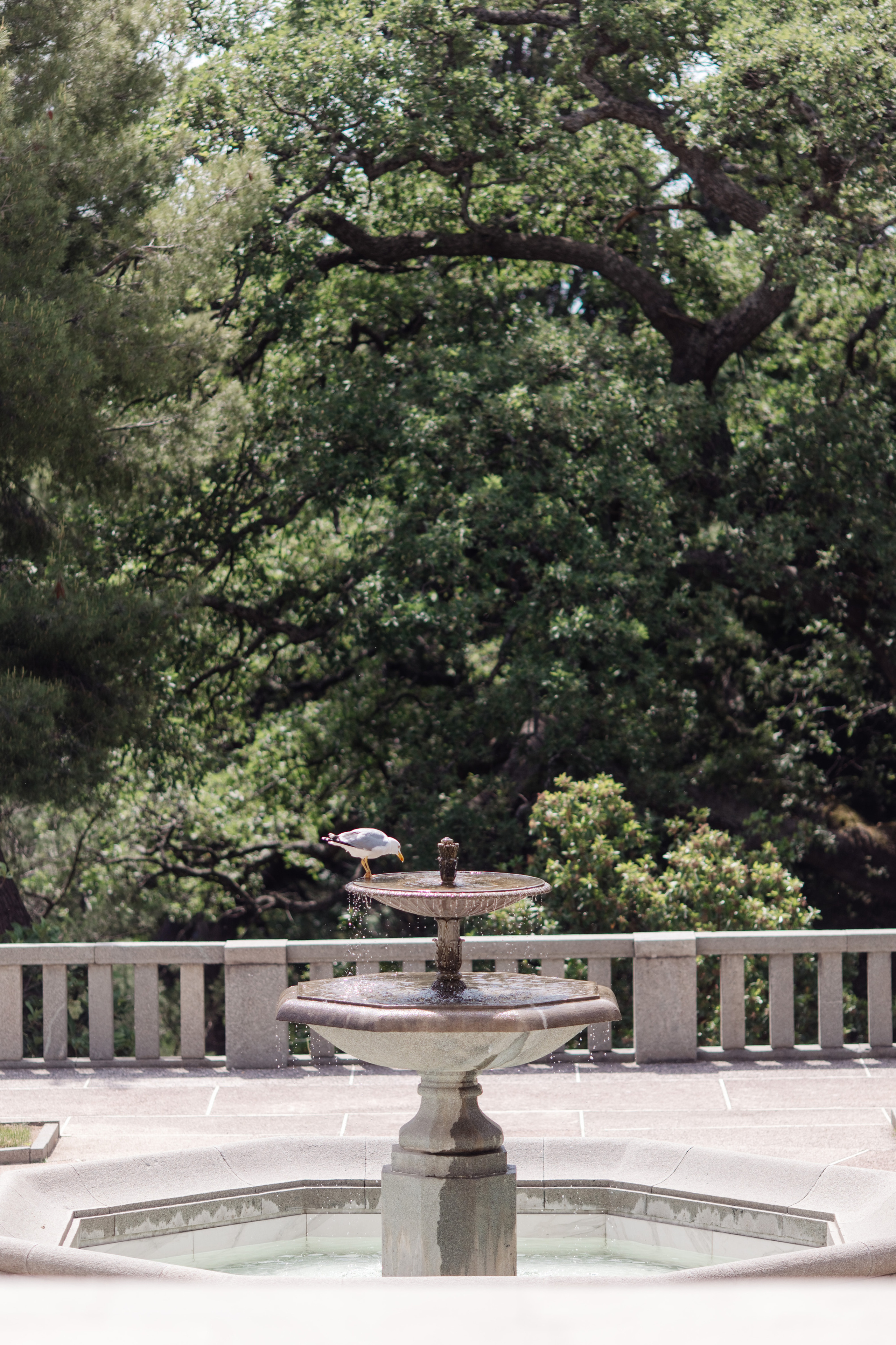 Свадьба в Крыму. Репортажный фотограф Ольга Кочетова в Москве