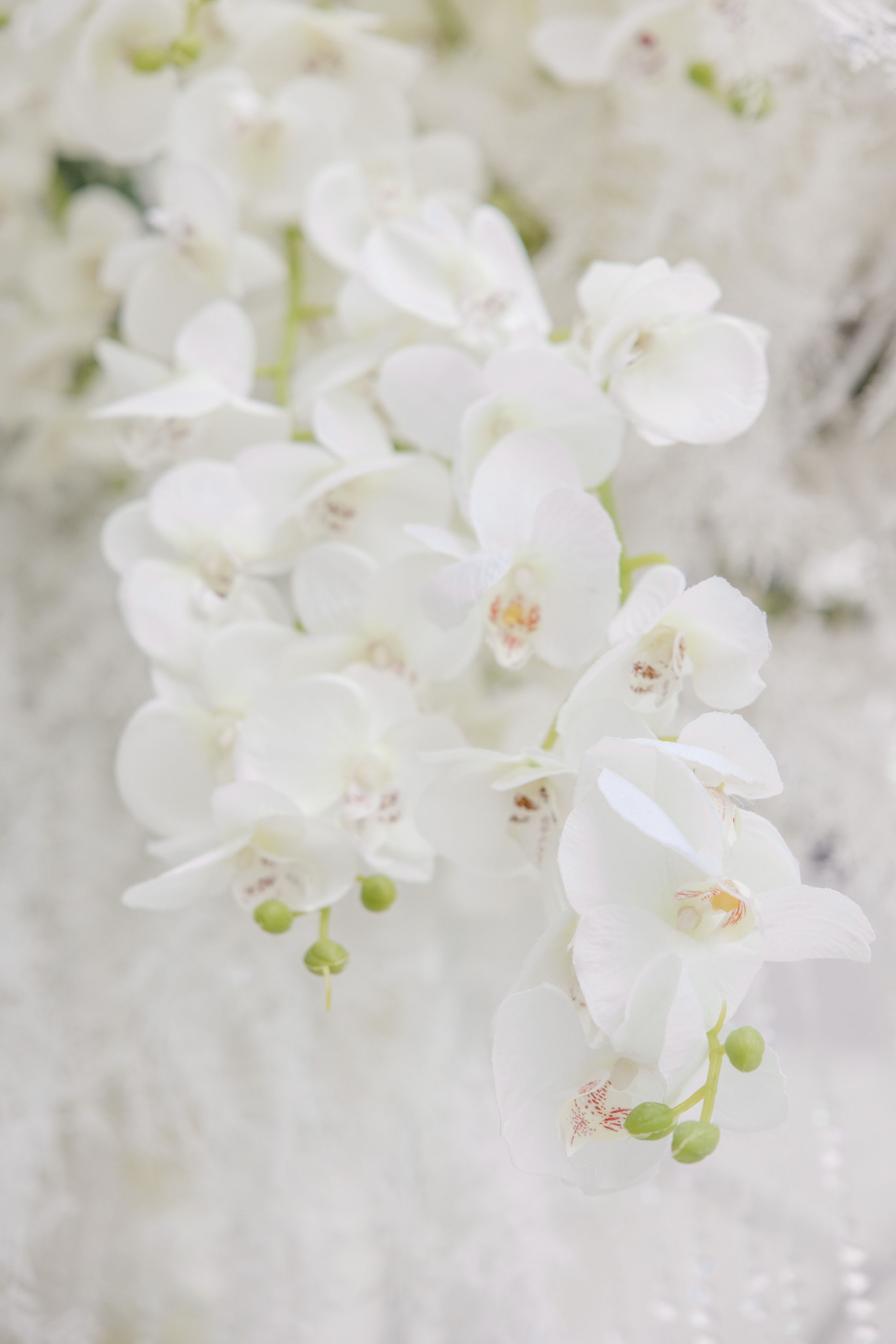 Свадьба в Крыму. Репортажный фотограф Ольга Кочетова в Москве