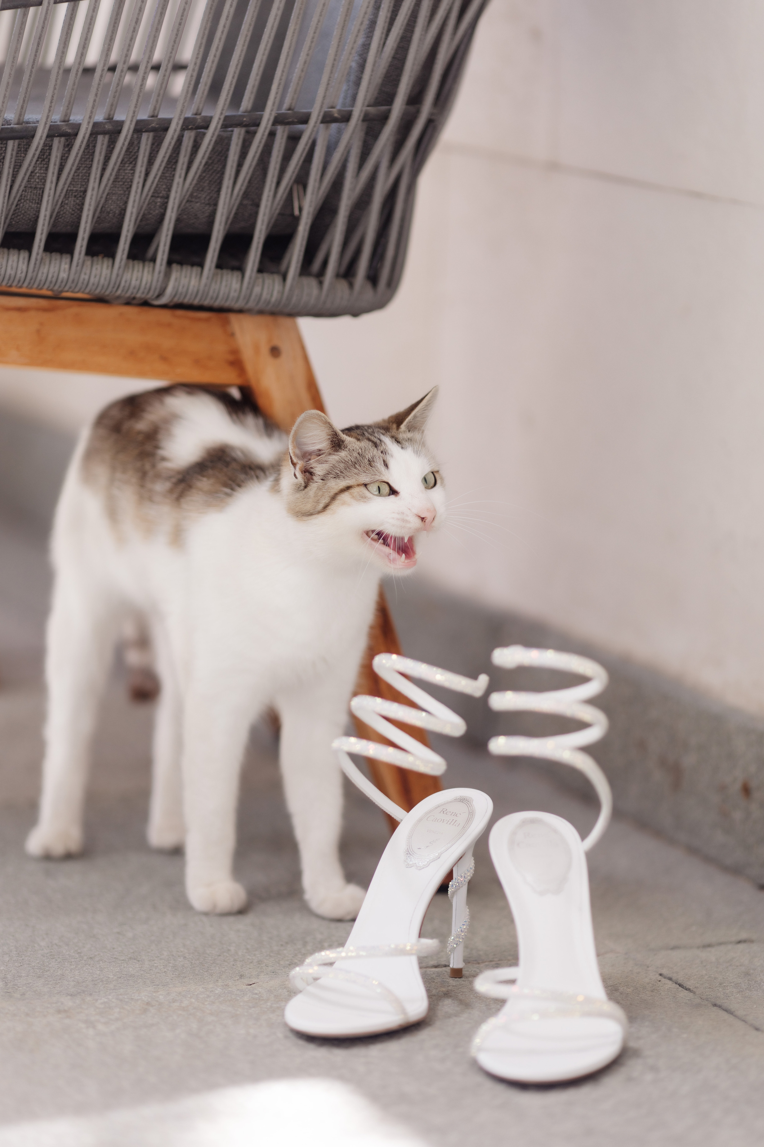 Свадьба в Крыму. Репортажный фотограф Ольга Кочетова в Москве