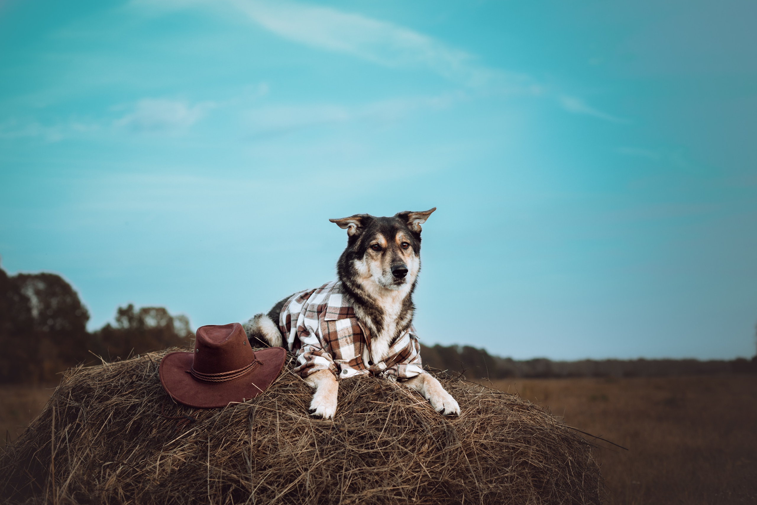 Кантри Дюк. Фотограф-анималист Татьяна Степанова