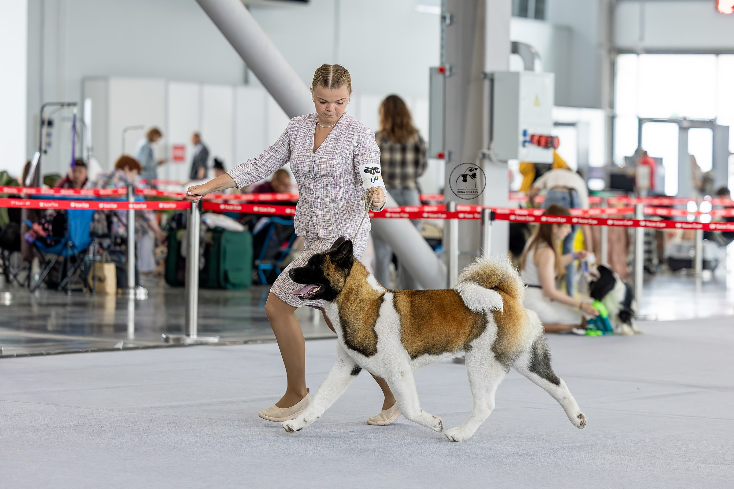 22 июня 2025, Выставка РКФ, г. Казань. Htykk_photo